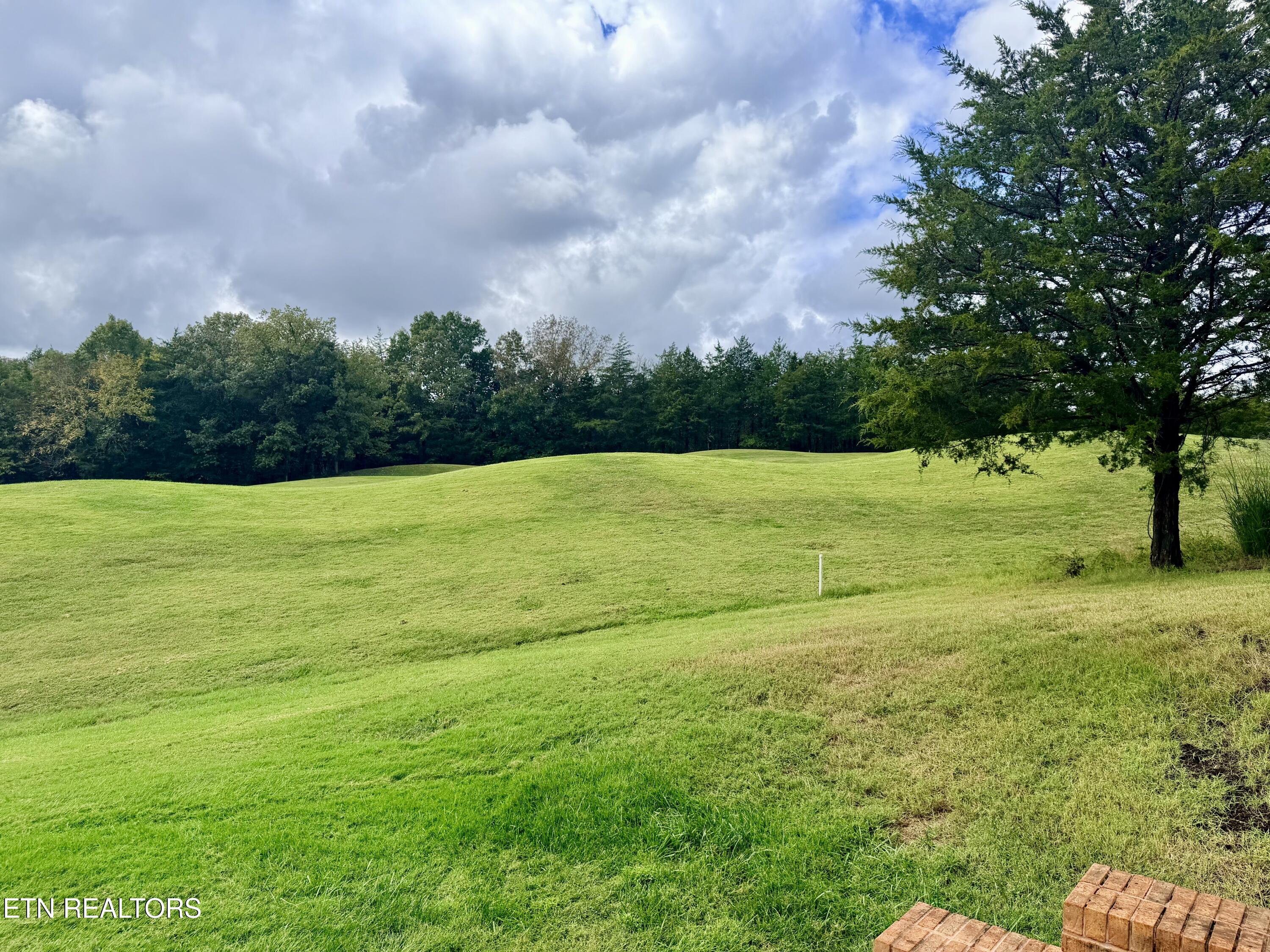 252 Links Court Tazewell TN 37879