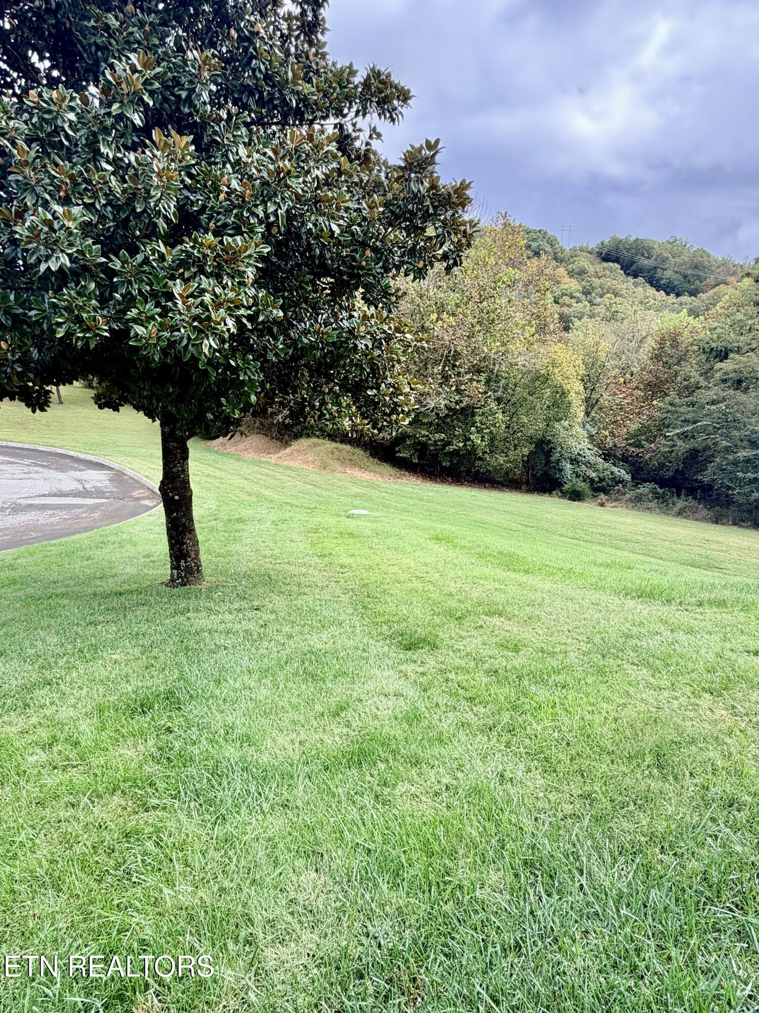 252 Links Court Tazewell TN 37879