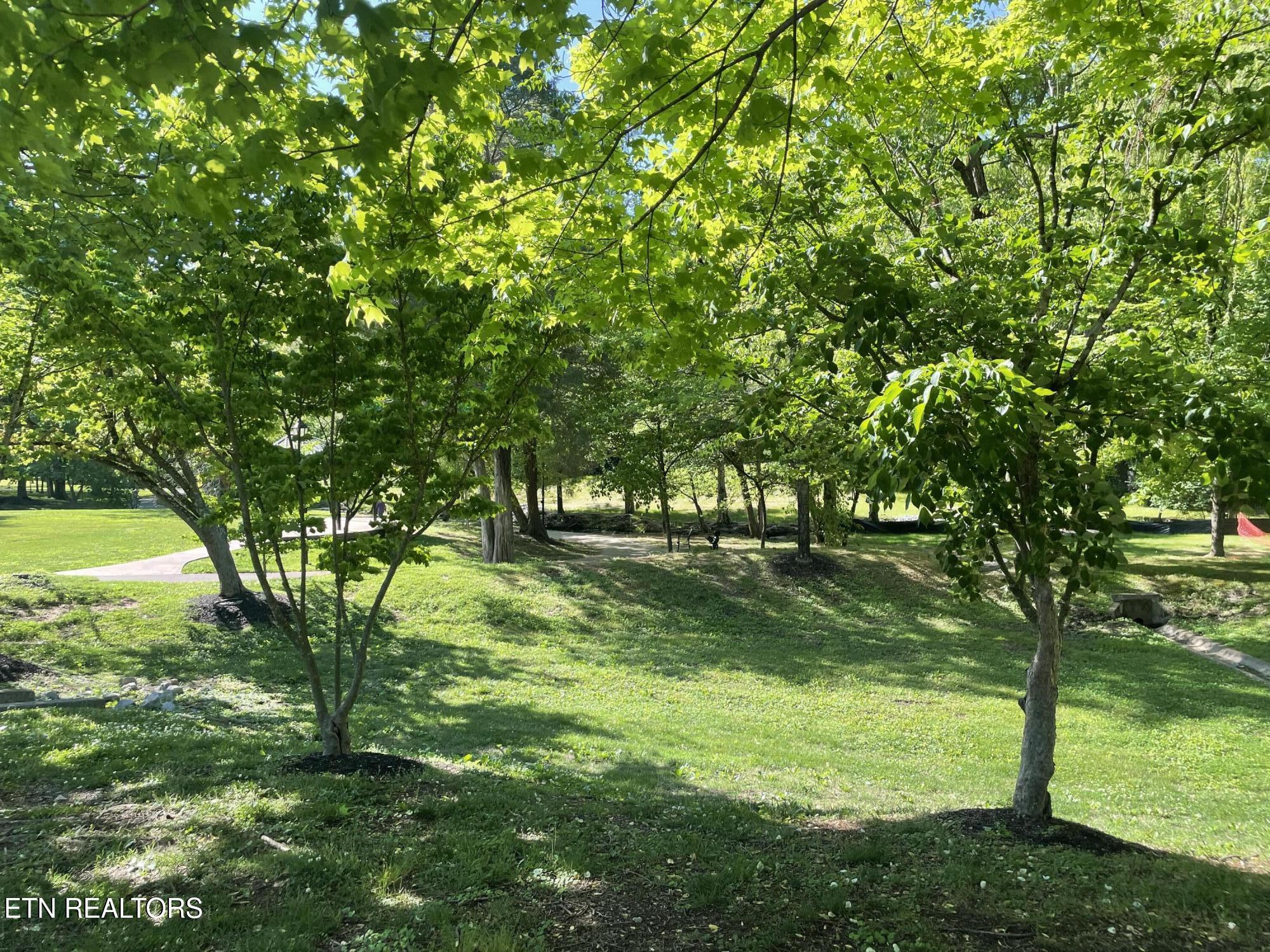 11713 Georgetowne Drive Knoxville TN 37934