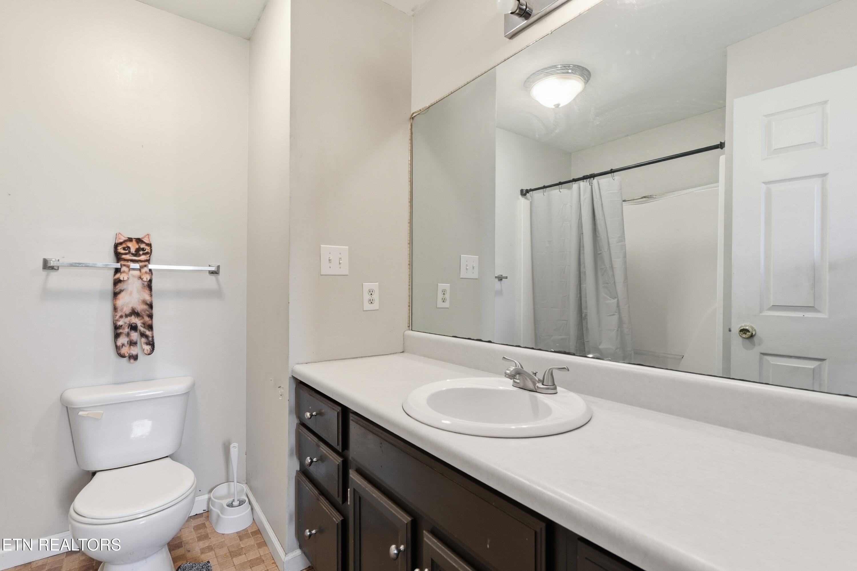 331 Teresa Ann Drive Seymour TN 37865