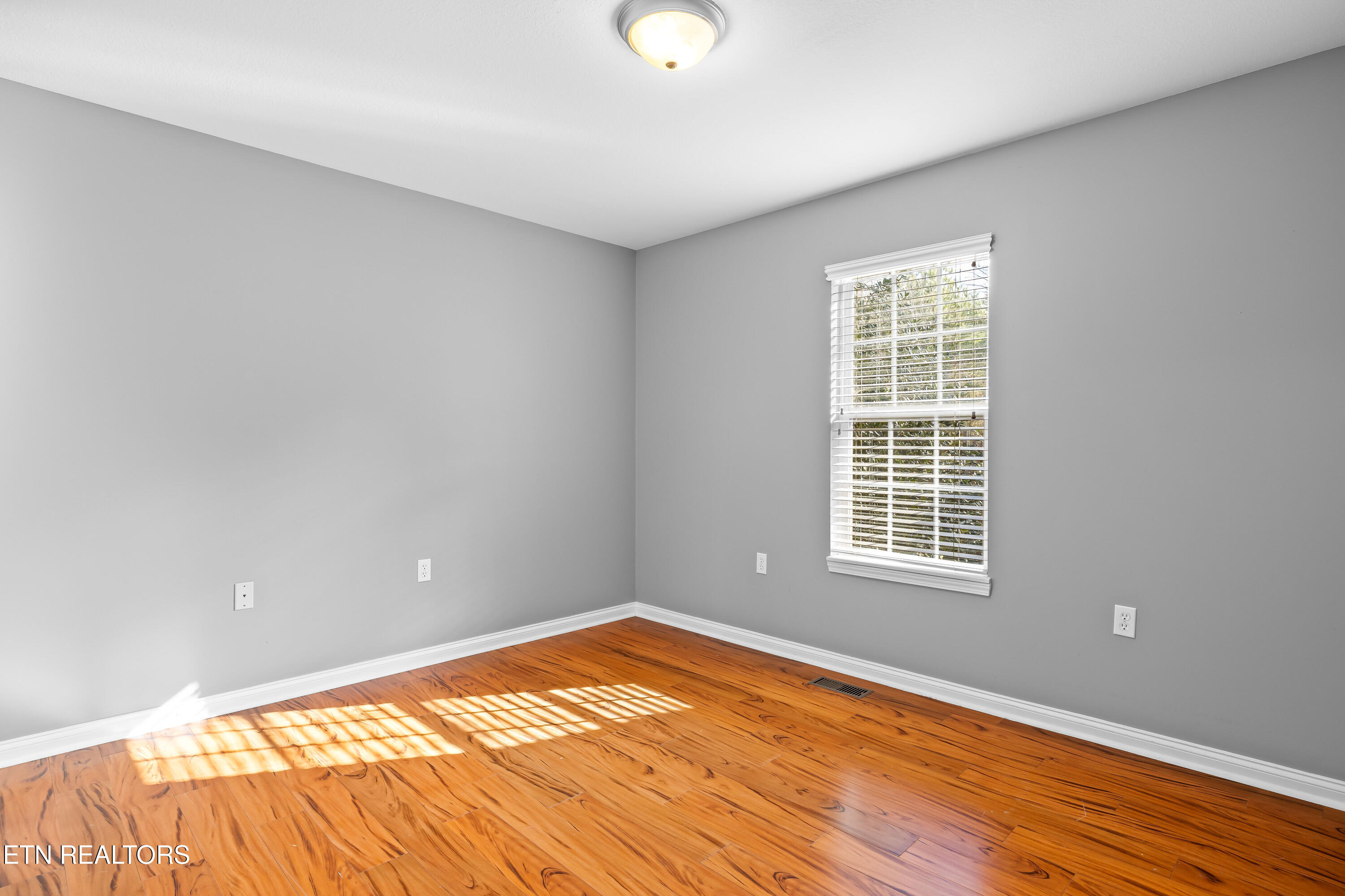 2447 Whisper Creek Drive Friendsville TN 37737