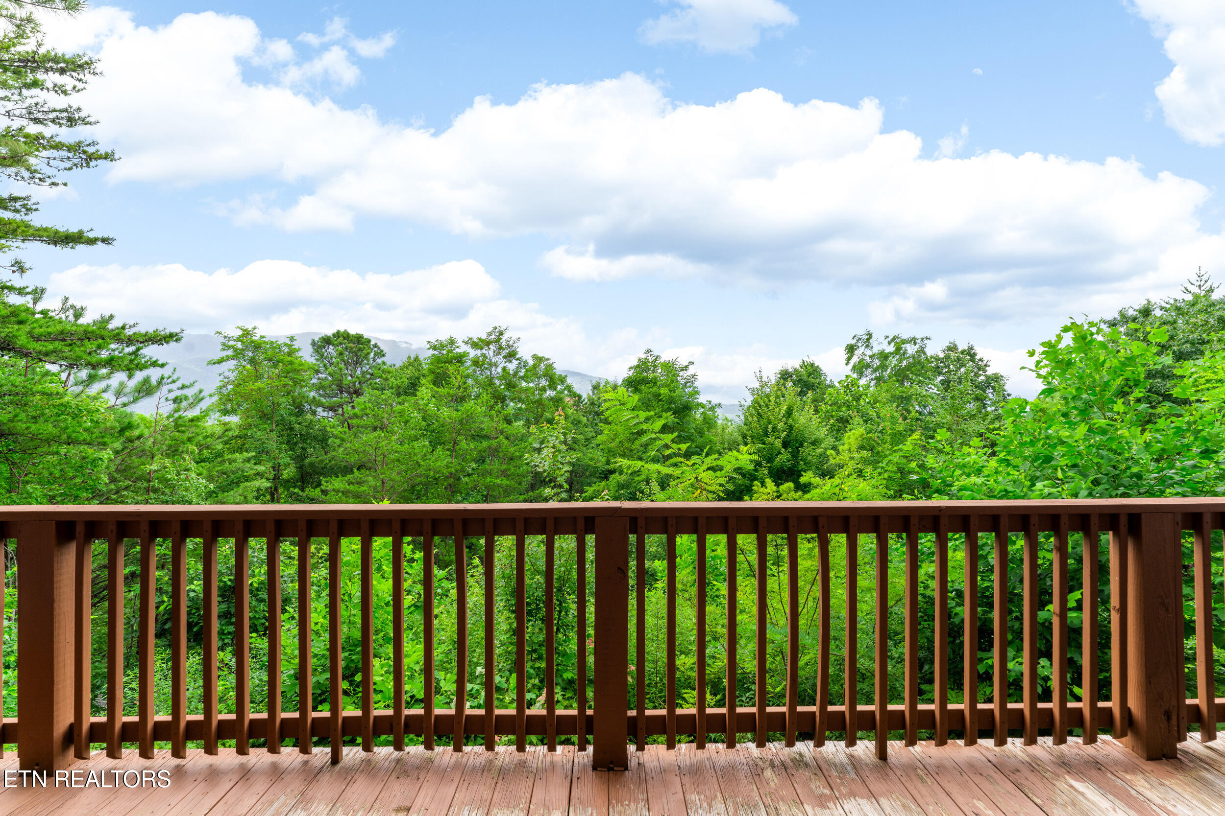 617 Almost Heaven Way Gatlinburg TN 37738