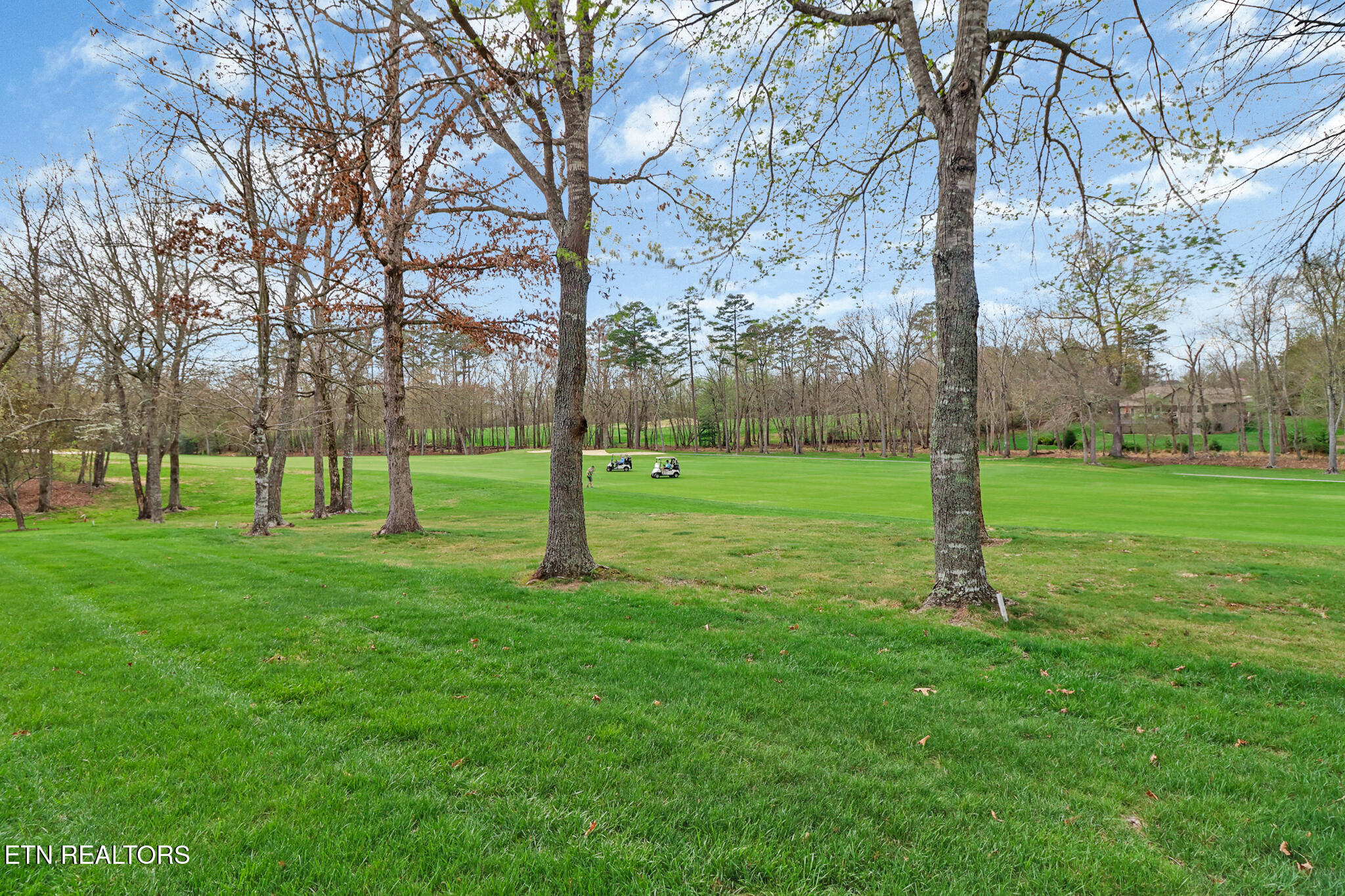 30 Thames Court Fairfield Glade TN 38558