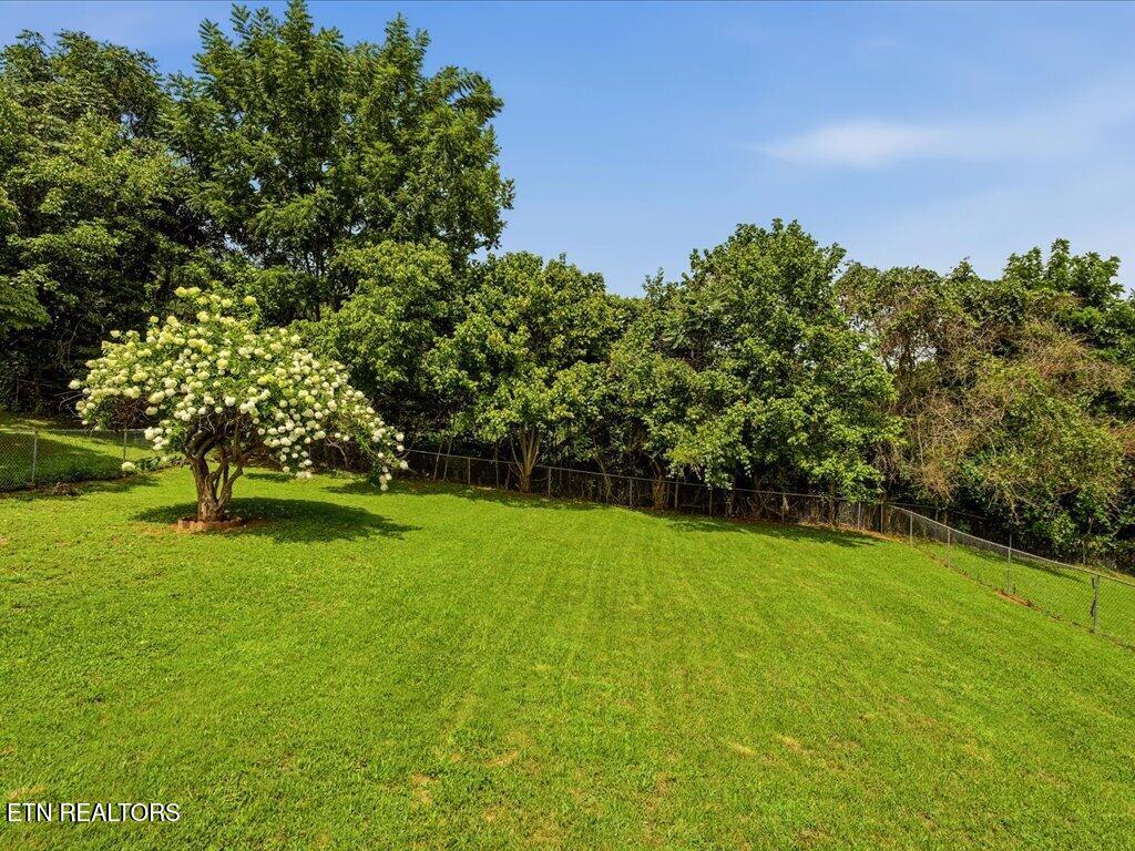 1241 Taylor Road Morristown TN 37814