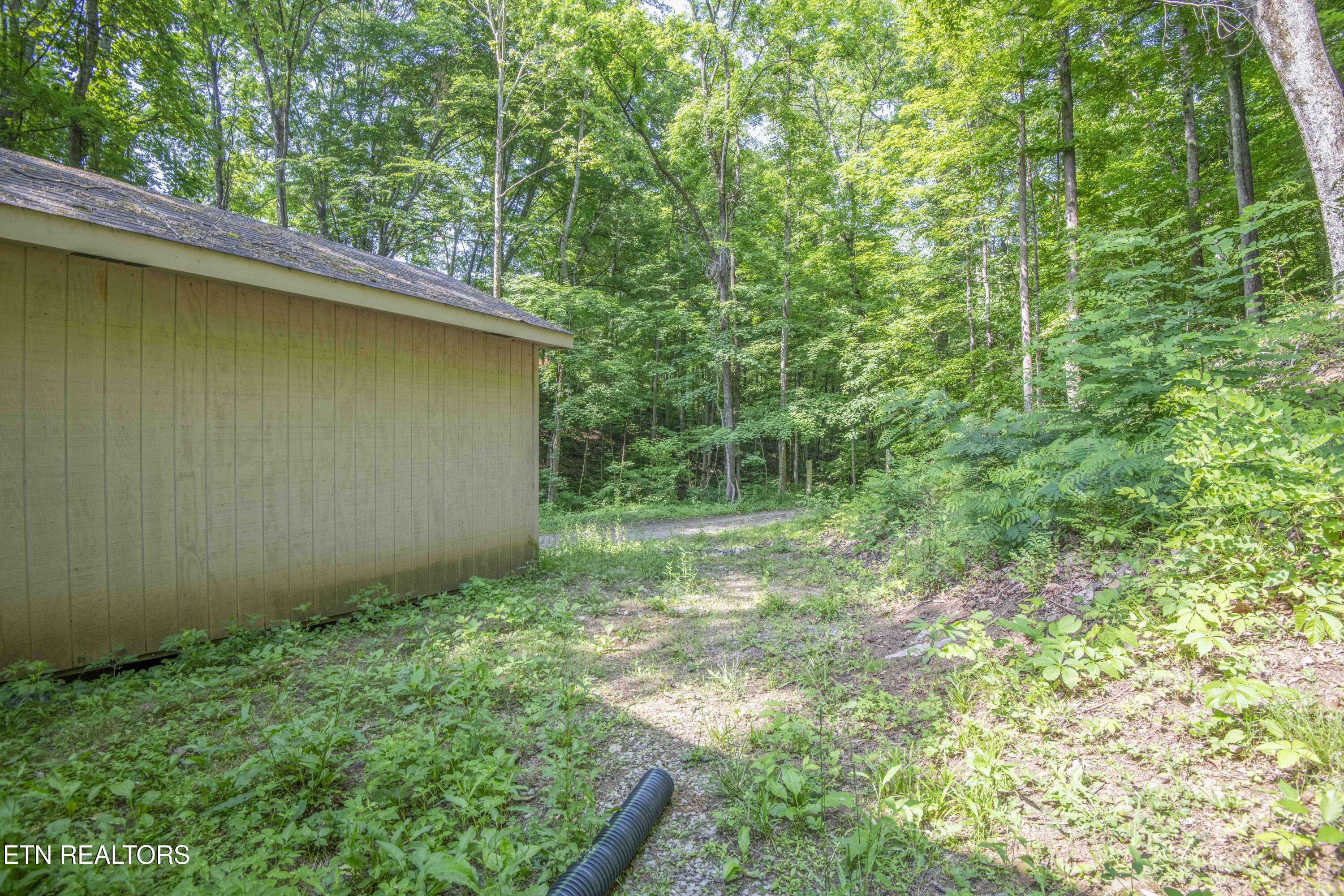 545 E Brushy Valley Drive Powell TN 37849
