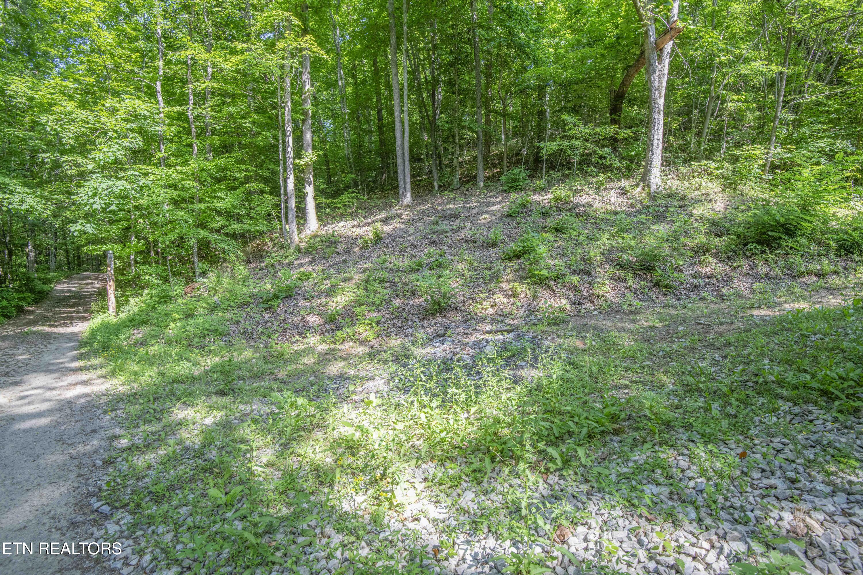 545 E Brushy Valley Drive Powell TN 37849