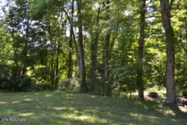 318 Rock Springs Road Celina TN 38551