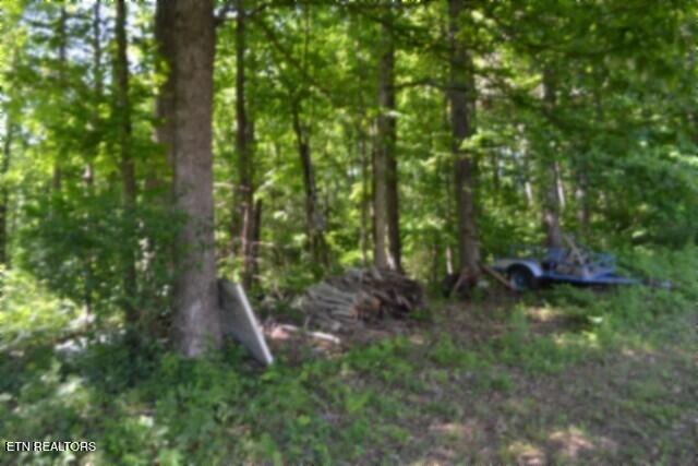 318 Rock Springs Road Celina TN 38551