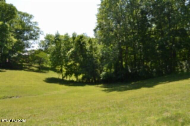 318 Rock Springs Road Celina TN 38551