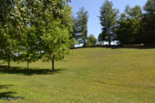 318 Rock Springs Road Celina TN 38551
