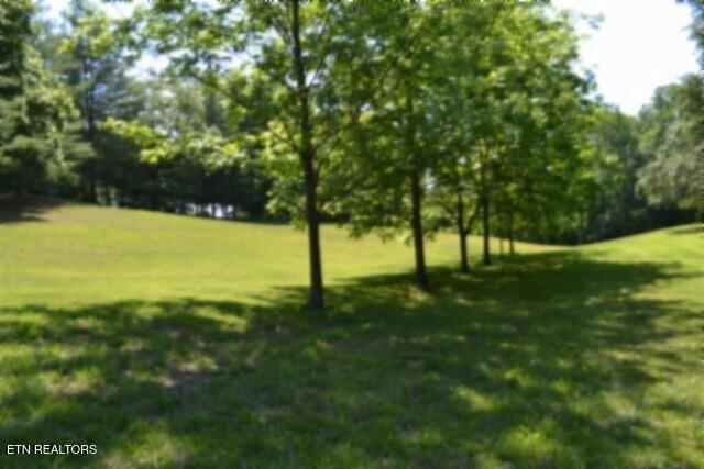 318 Rock Springs Road Celina TN 38551