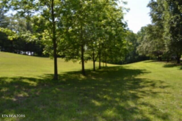 318 Rock Springs Road Celina TN 38551
