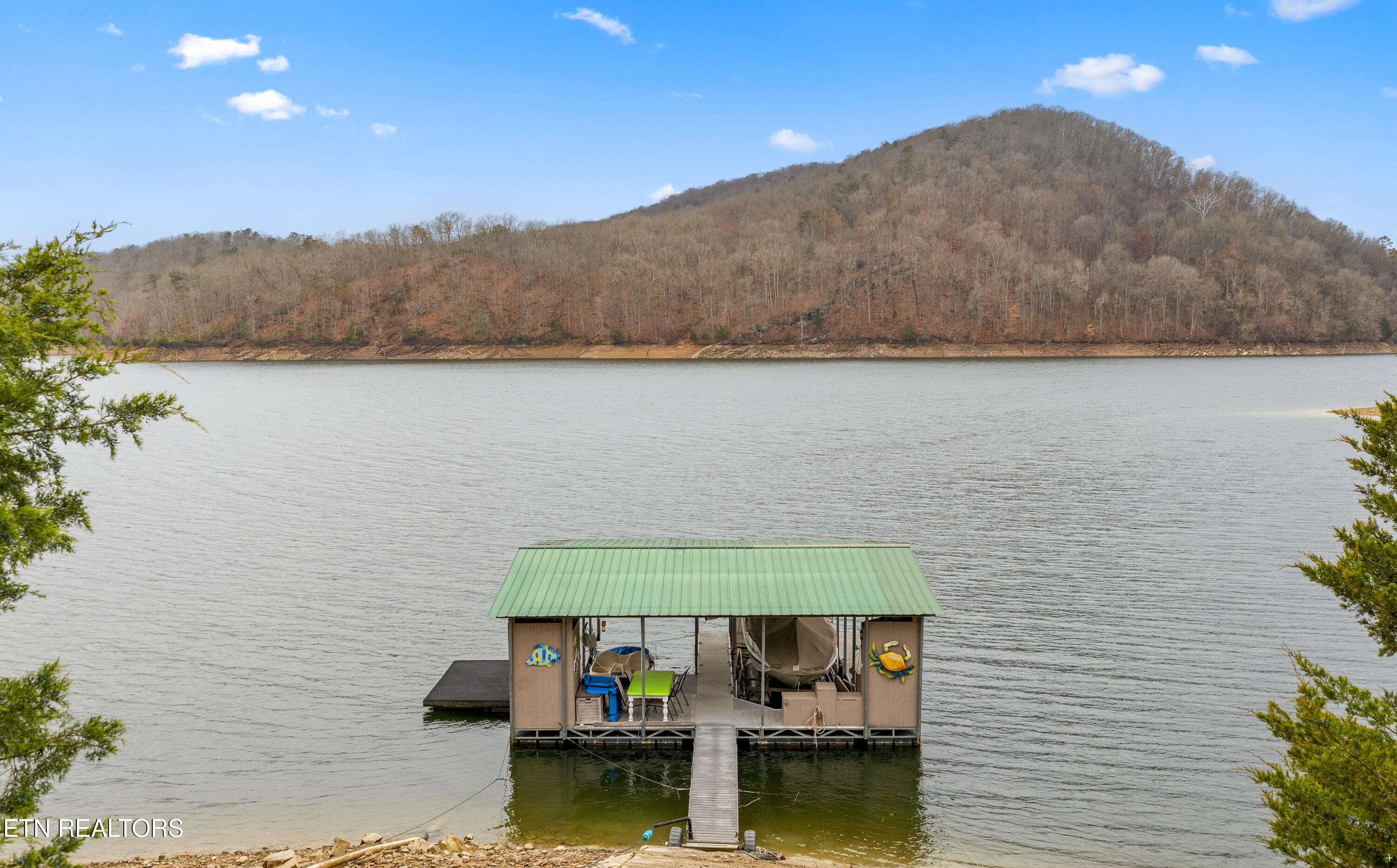 1420 Lakeview Drive Sharps Chapel TN 37866