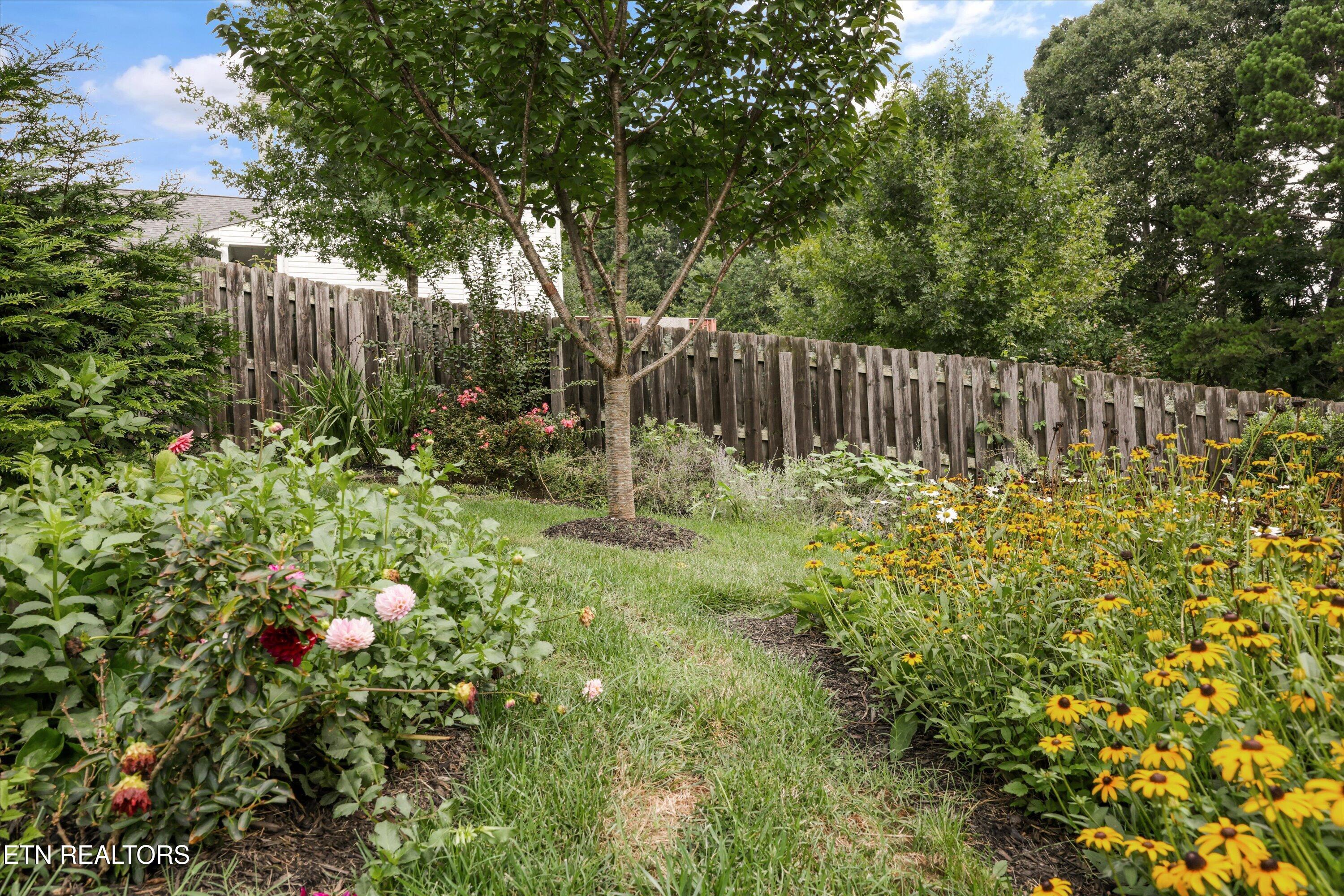 5401 Summitridge Lane Knoxville TN 37921