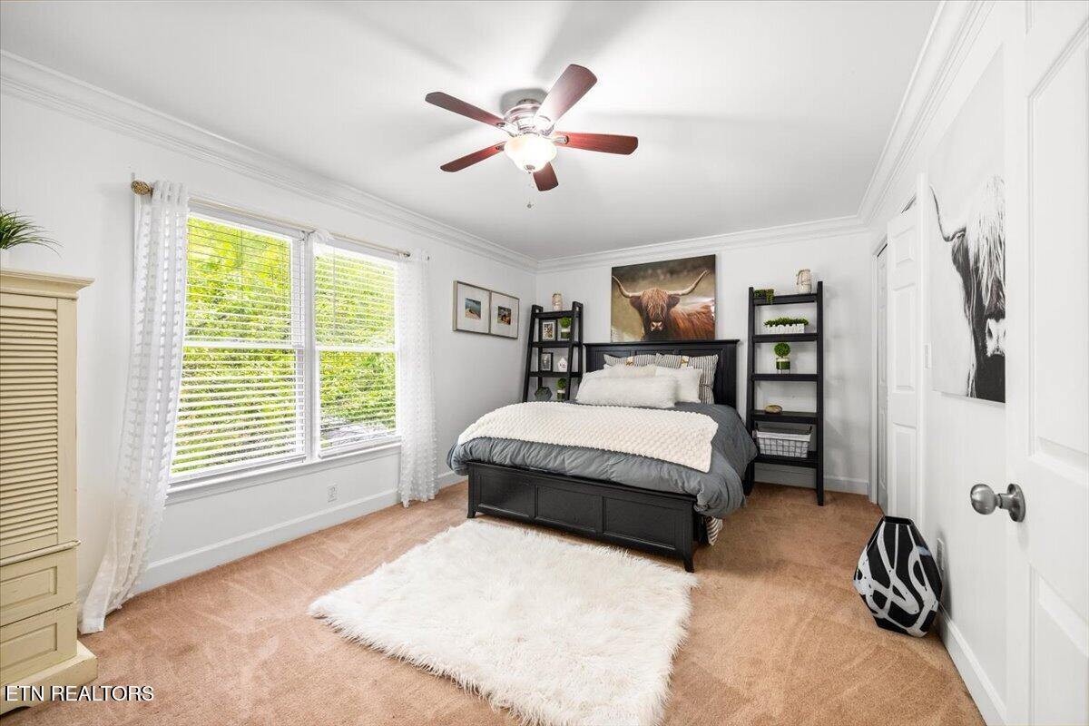 15 Radisson Cove Oak Ridge TN 37830