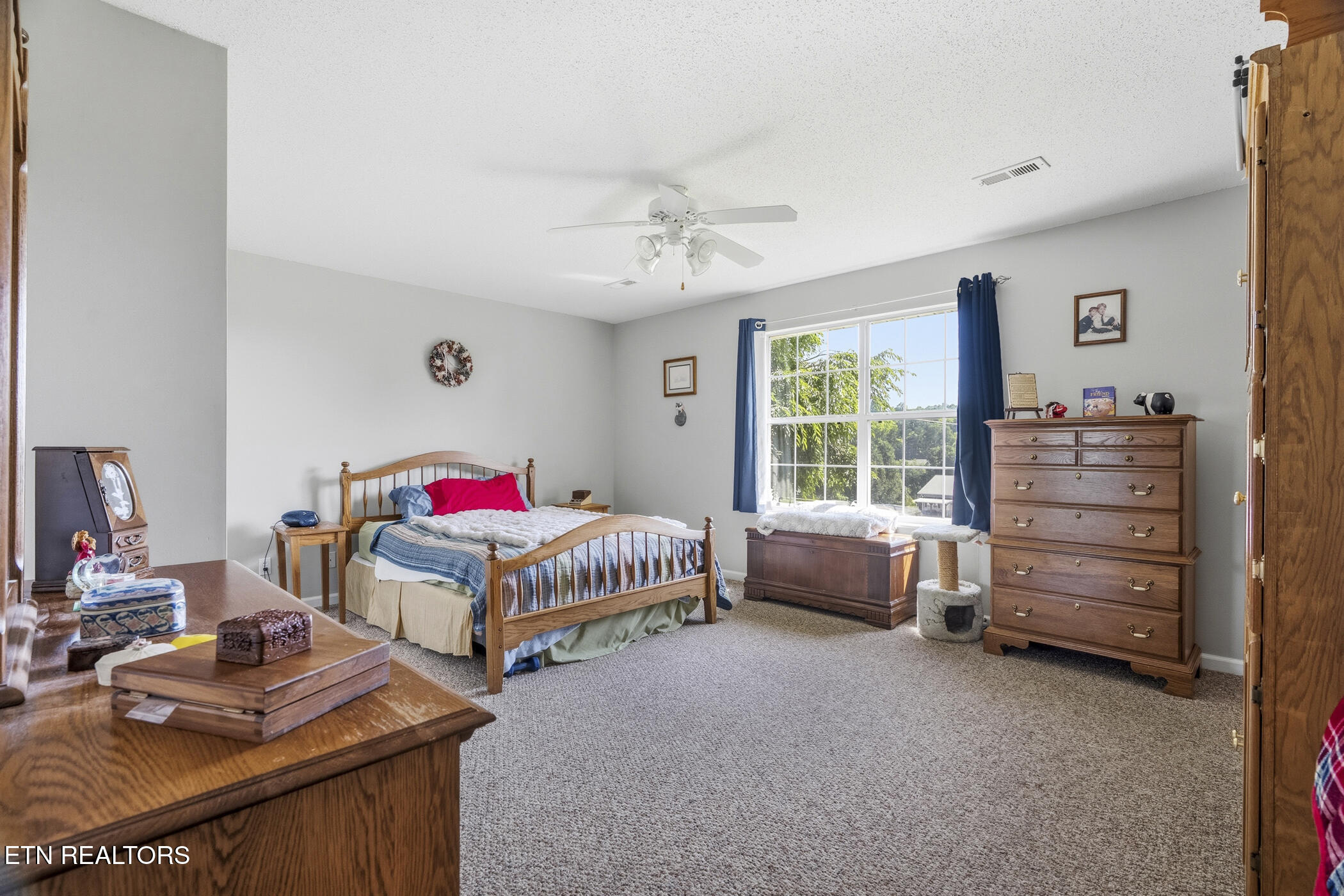1324 Prairie Place Greenback TN 37742
