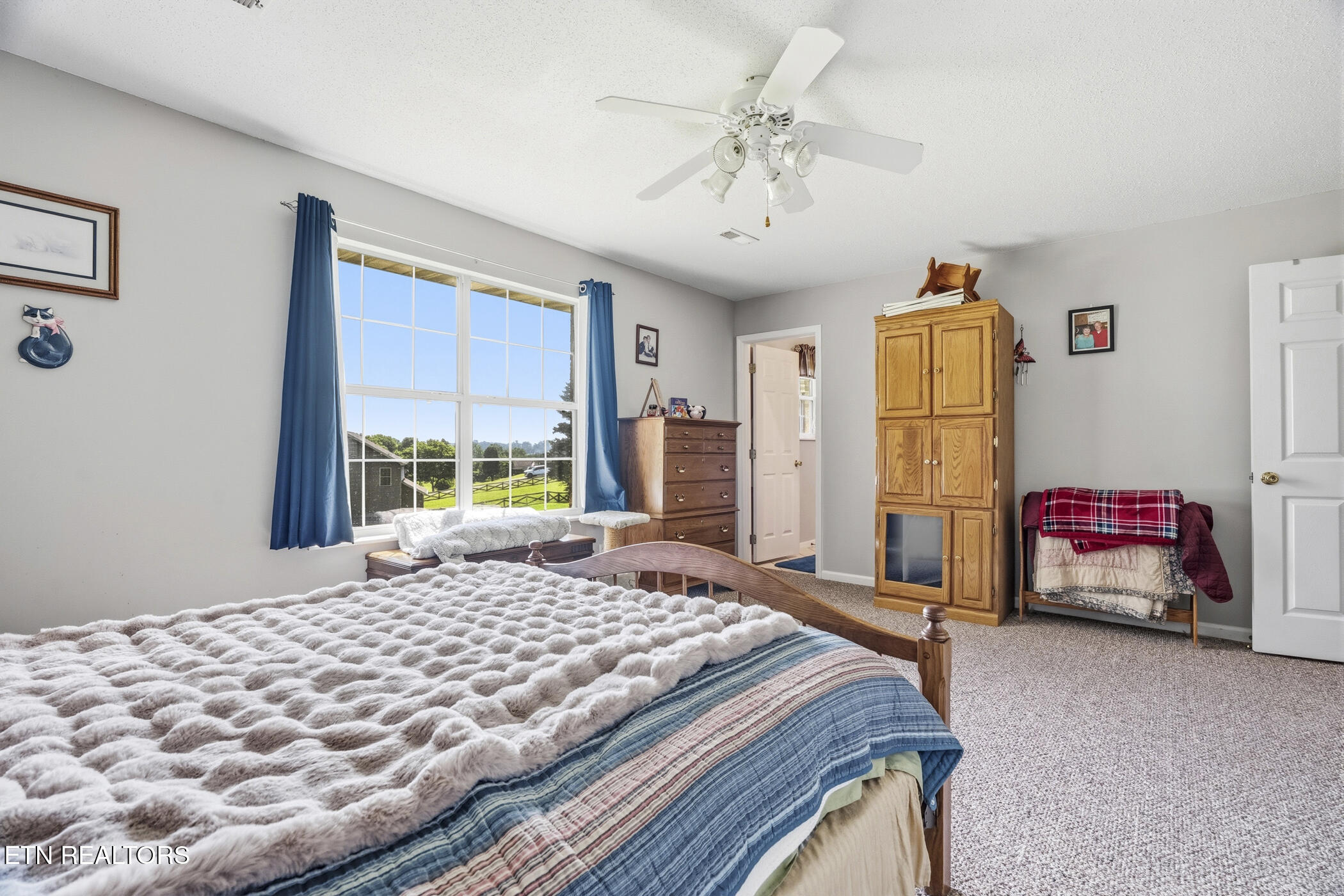 1324 Prairie Place Greenback TN 37742