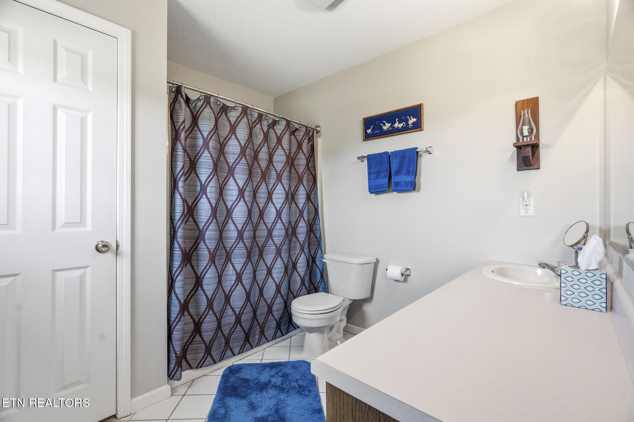1324 Prairie Place Greenback TN 37742
