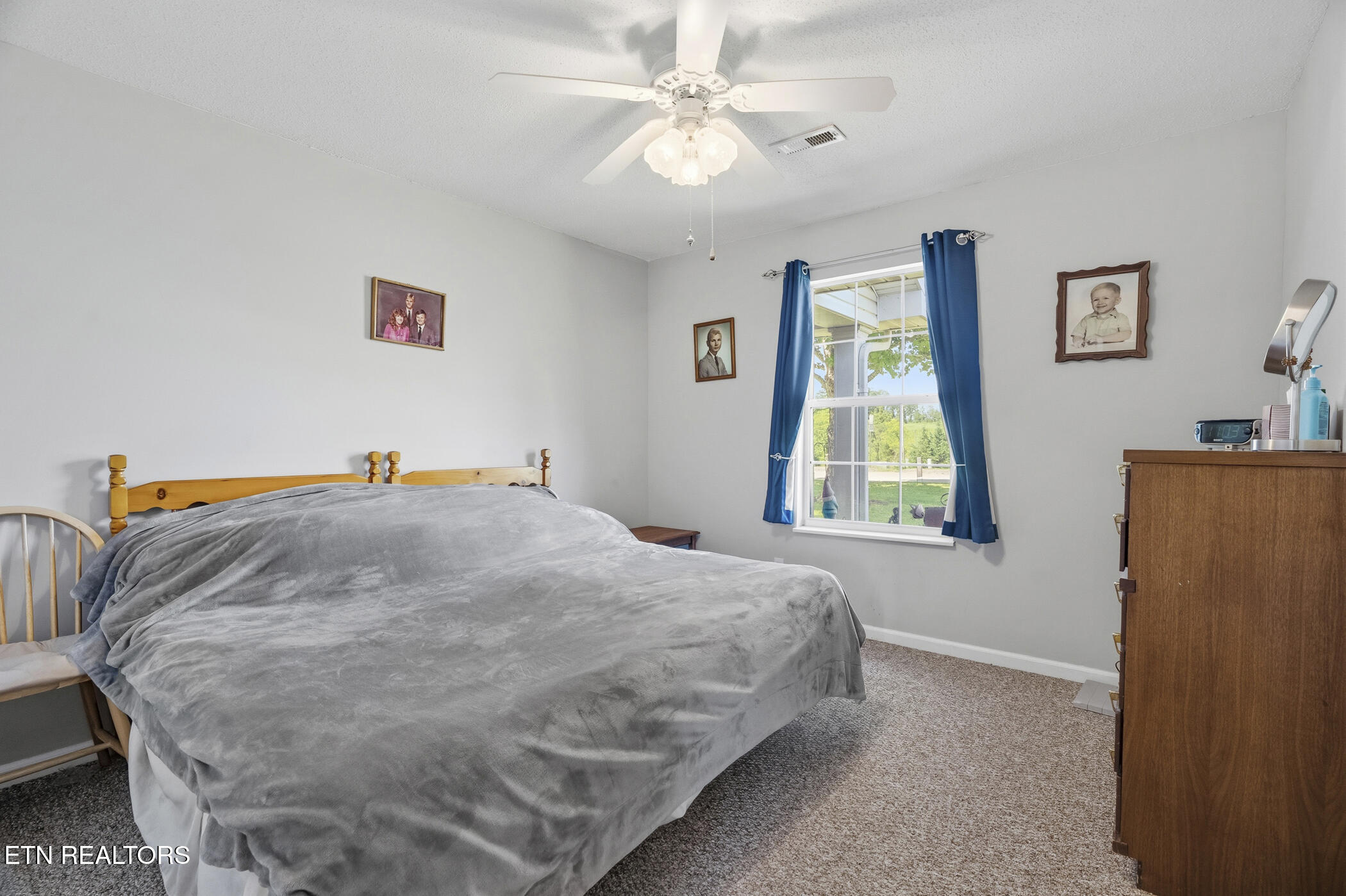 1324 Prairie Place Greenback TN 37742