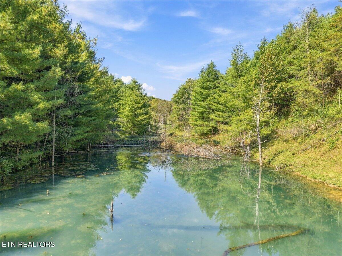 323 Harmon Road New Tazewell TN 37825