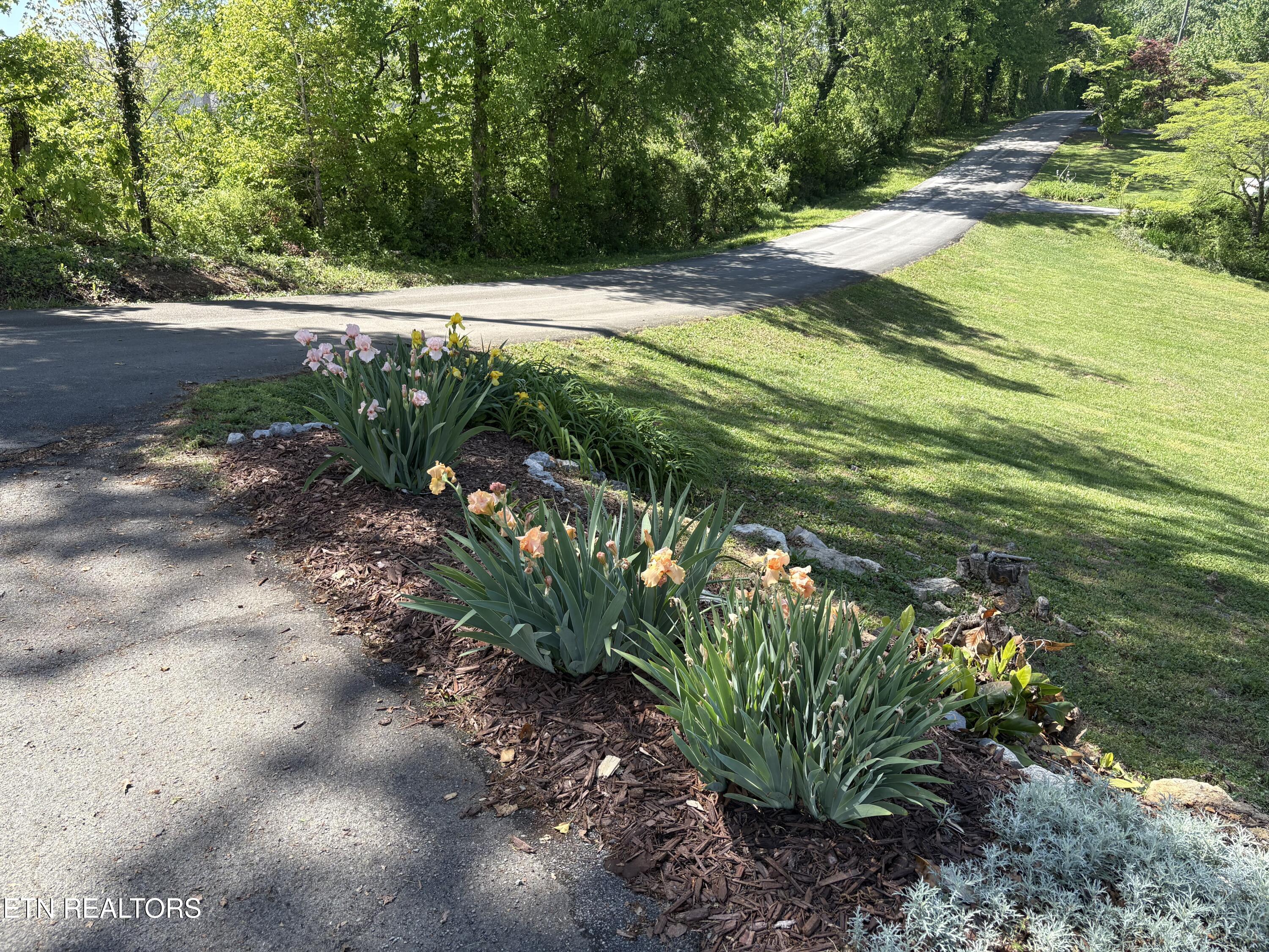 2001 Evergreen Circle Lenoir City TN 37772