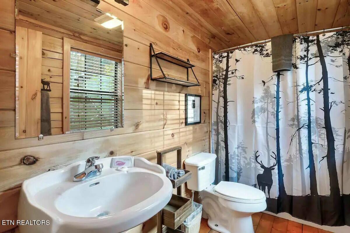 2313 Fox Berry Way Sevierville TN 37876