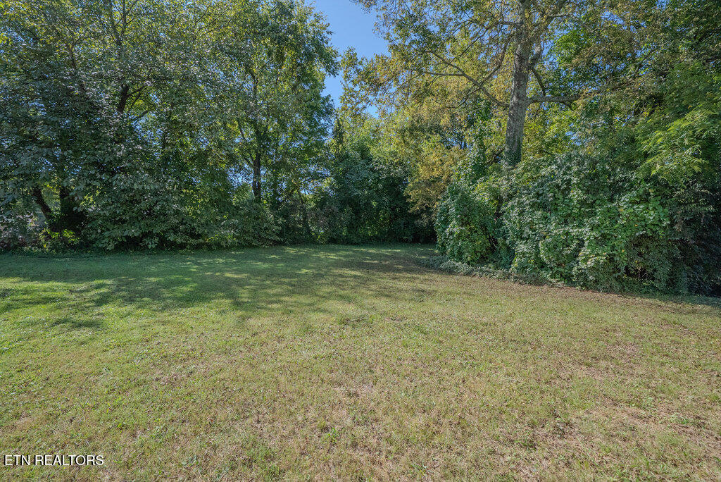 3810 Catalpa Avenue Knoxville TN 37914
