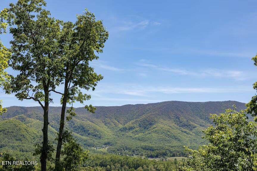 3515 Mountain Tyme Way Sevierville TN 37862