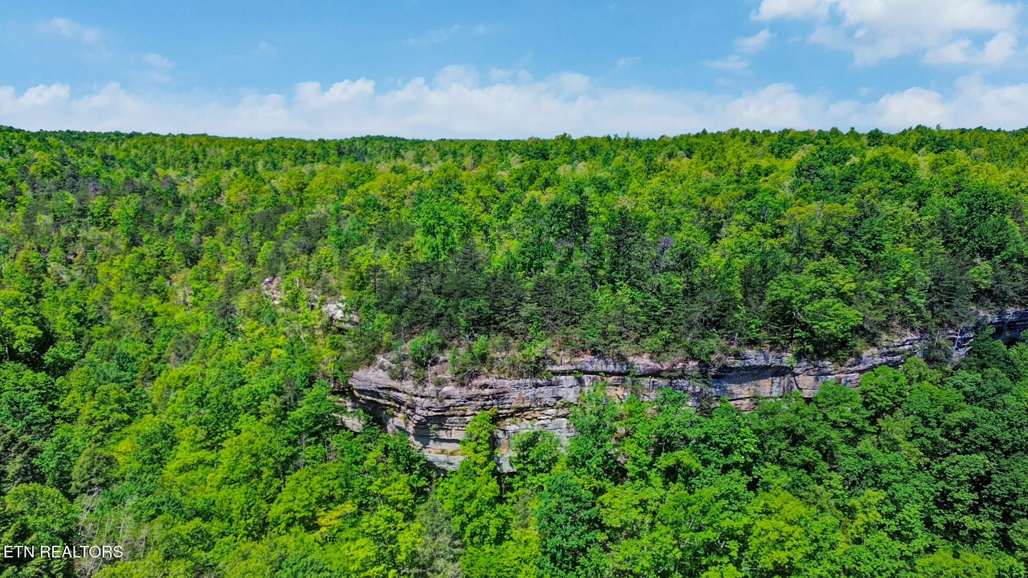 179 Eagle Bluff Jamestown TN 38556