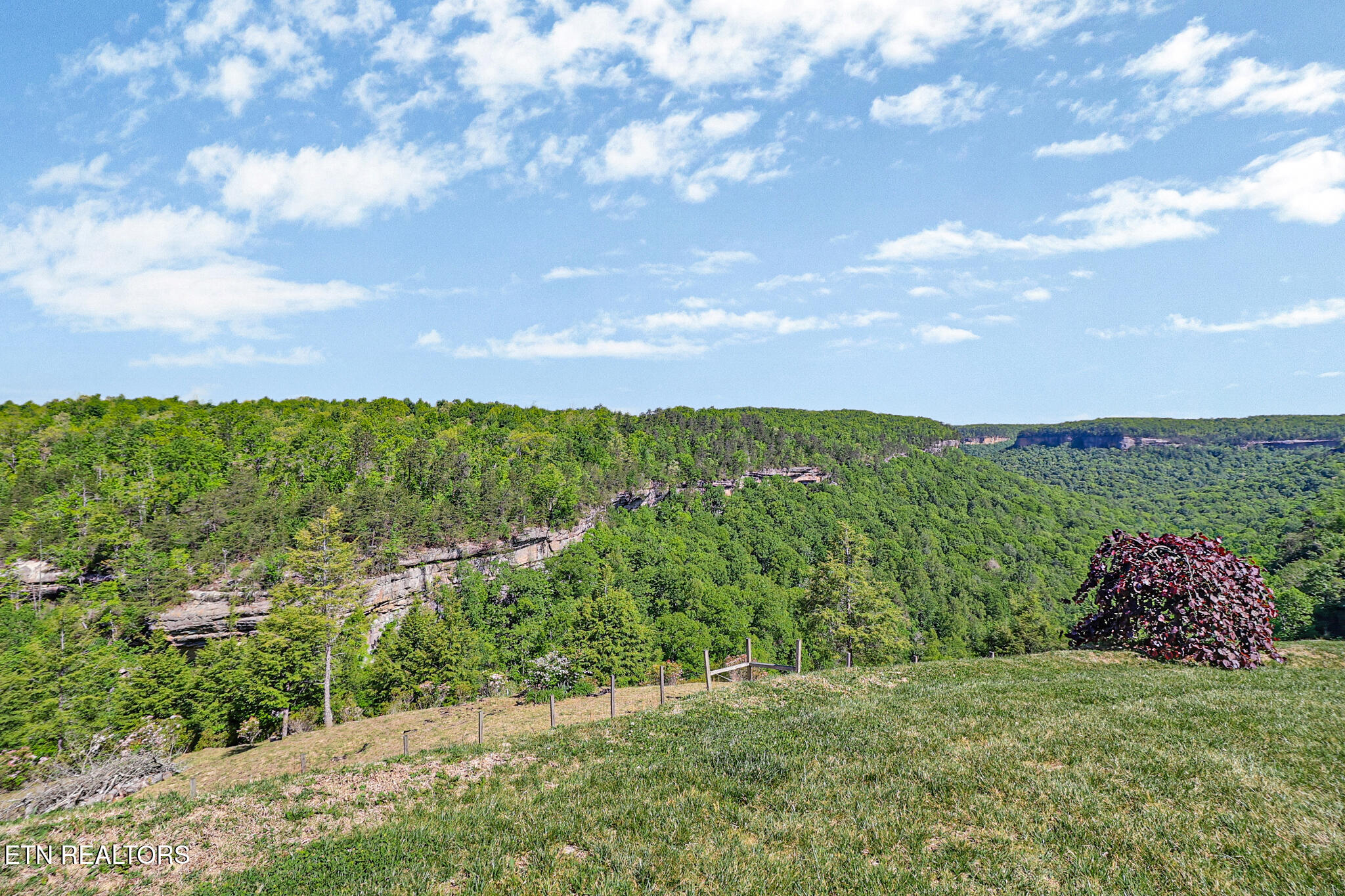 179 Eagle Bluff Jamestown TN 38556