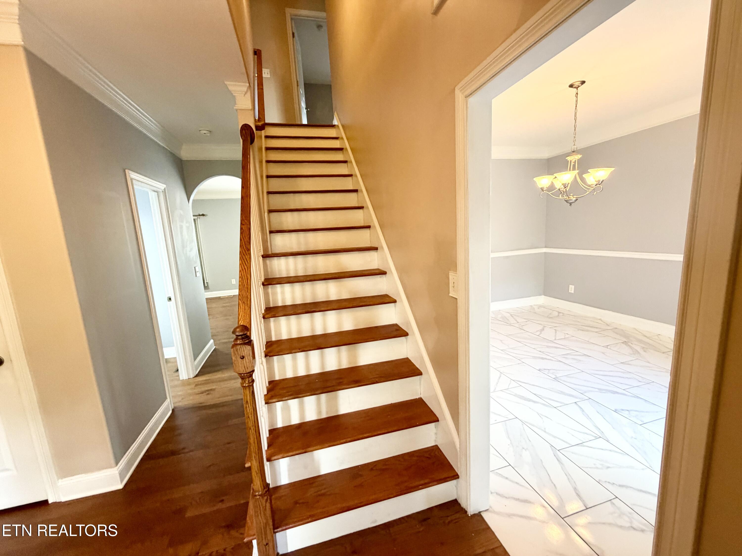 144 Cheshire Drive Andersonville TN 37705