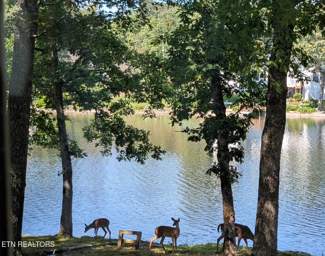 3070 Nocatee Crossville TN 38572