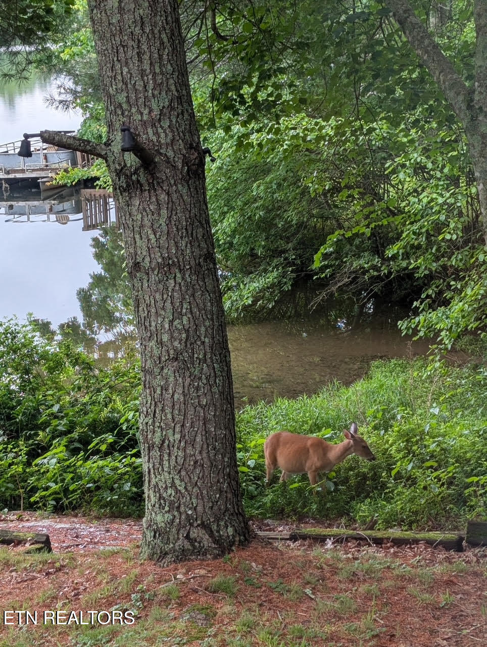 3070 Nocatee Crossville TN 38572