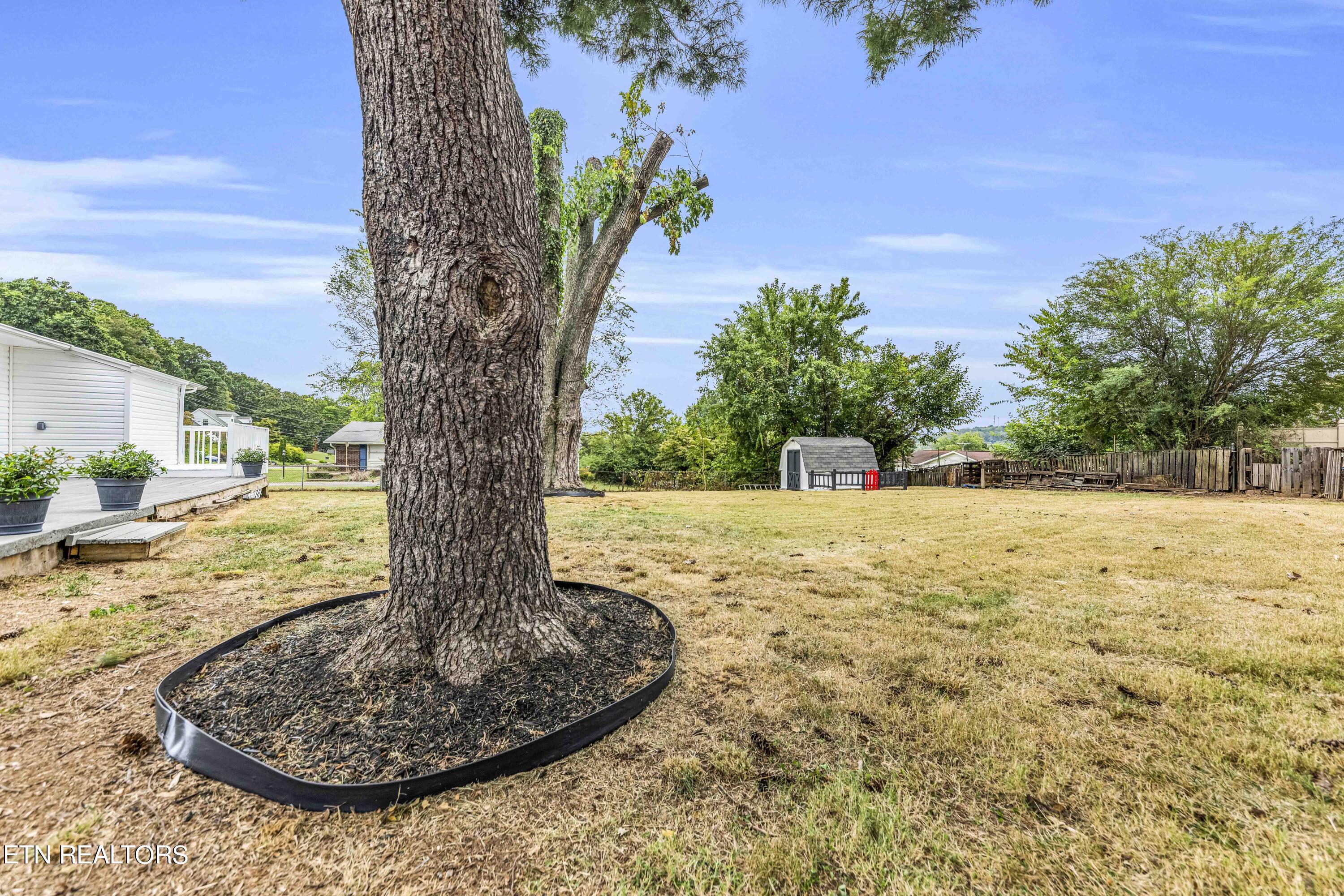 10824 Sonja Drive Knoxville TN 37934