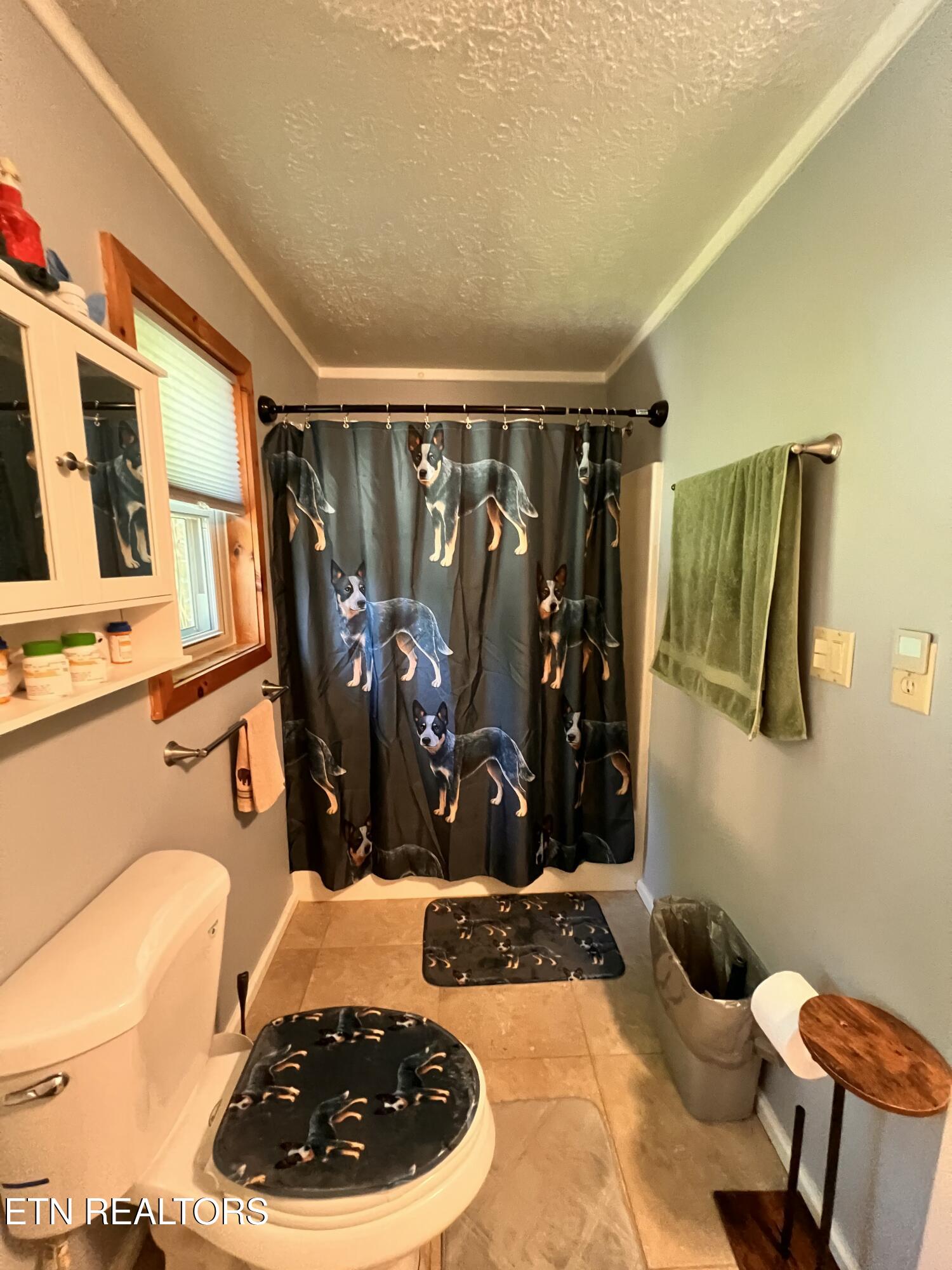 4040 Trail Hollow Road Cosby TN 37722