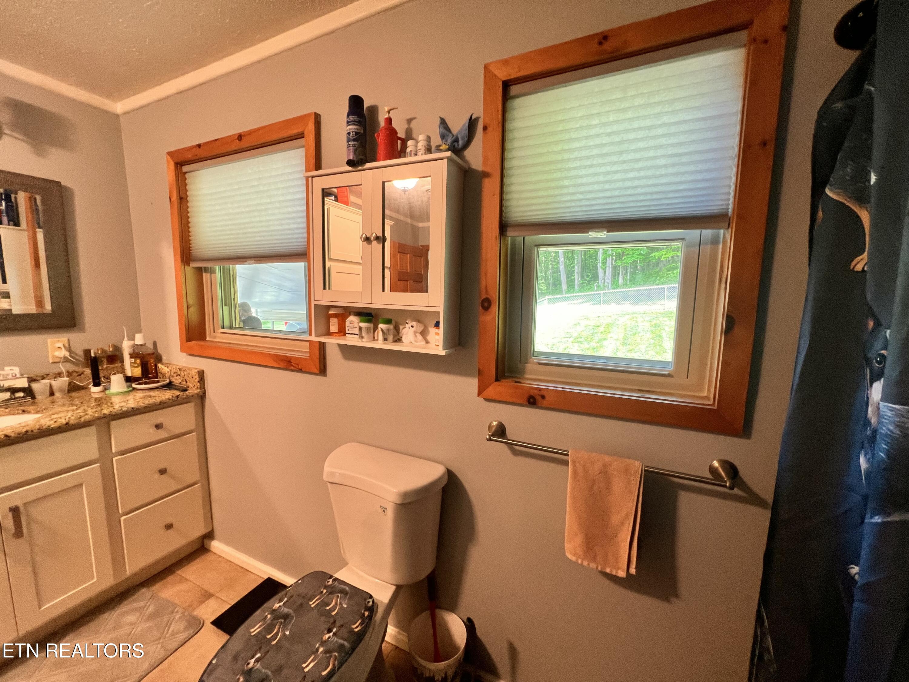 4040 Trail Hollow Road Cosby TN 37722