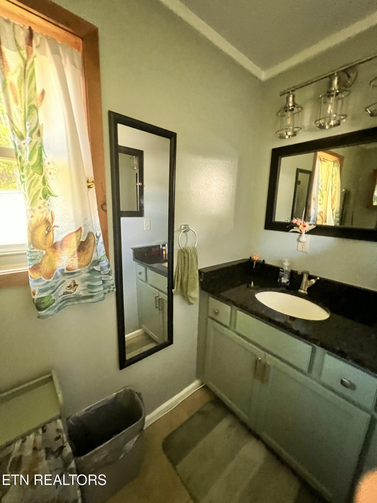4040 Trail Hollow Road Cosby TN 37722