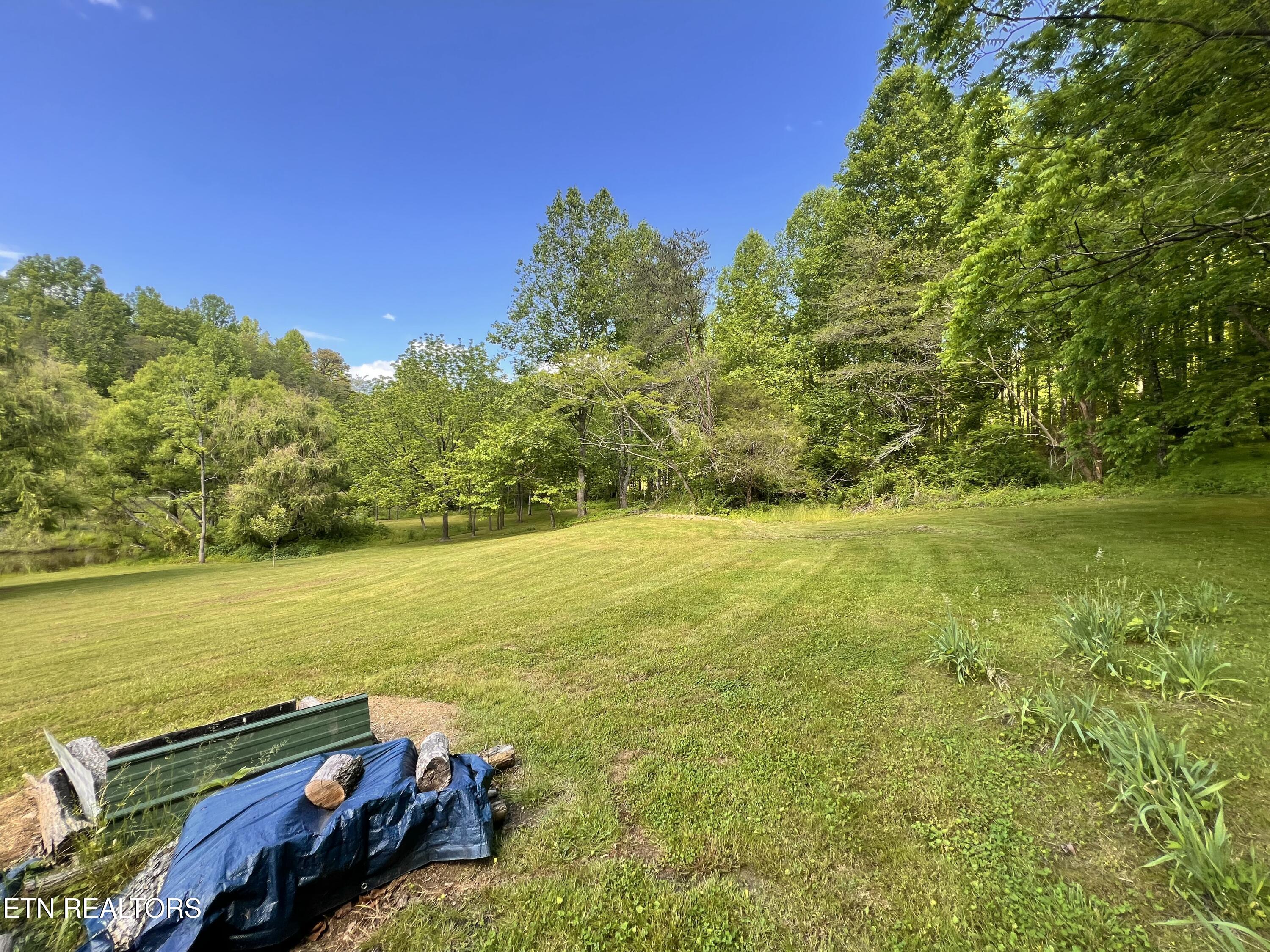 4040 Trail Hollow Road Cosby TN 37722