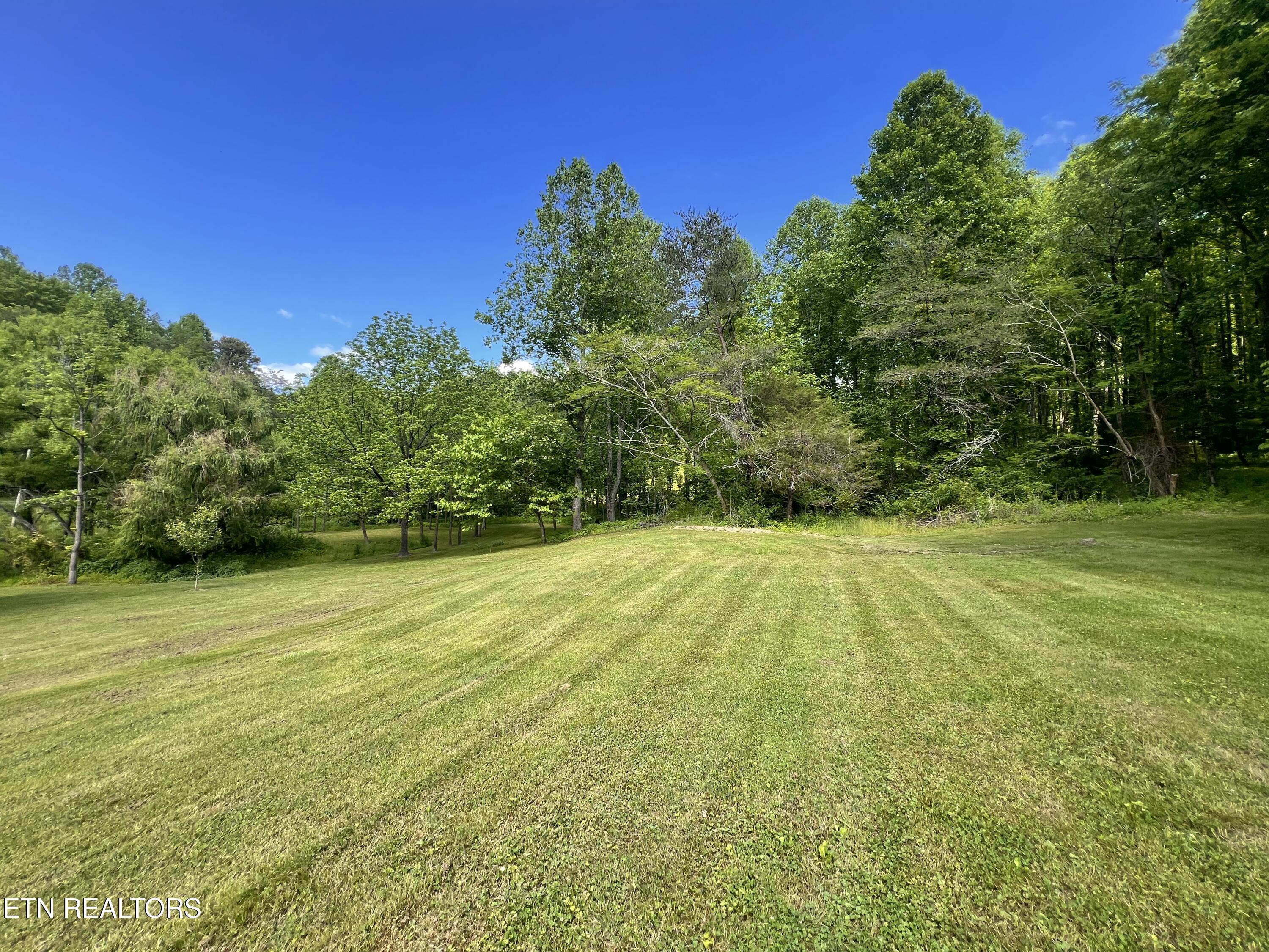 4040 Trail Hollow Road Cosby TN 37722