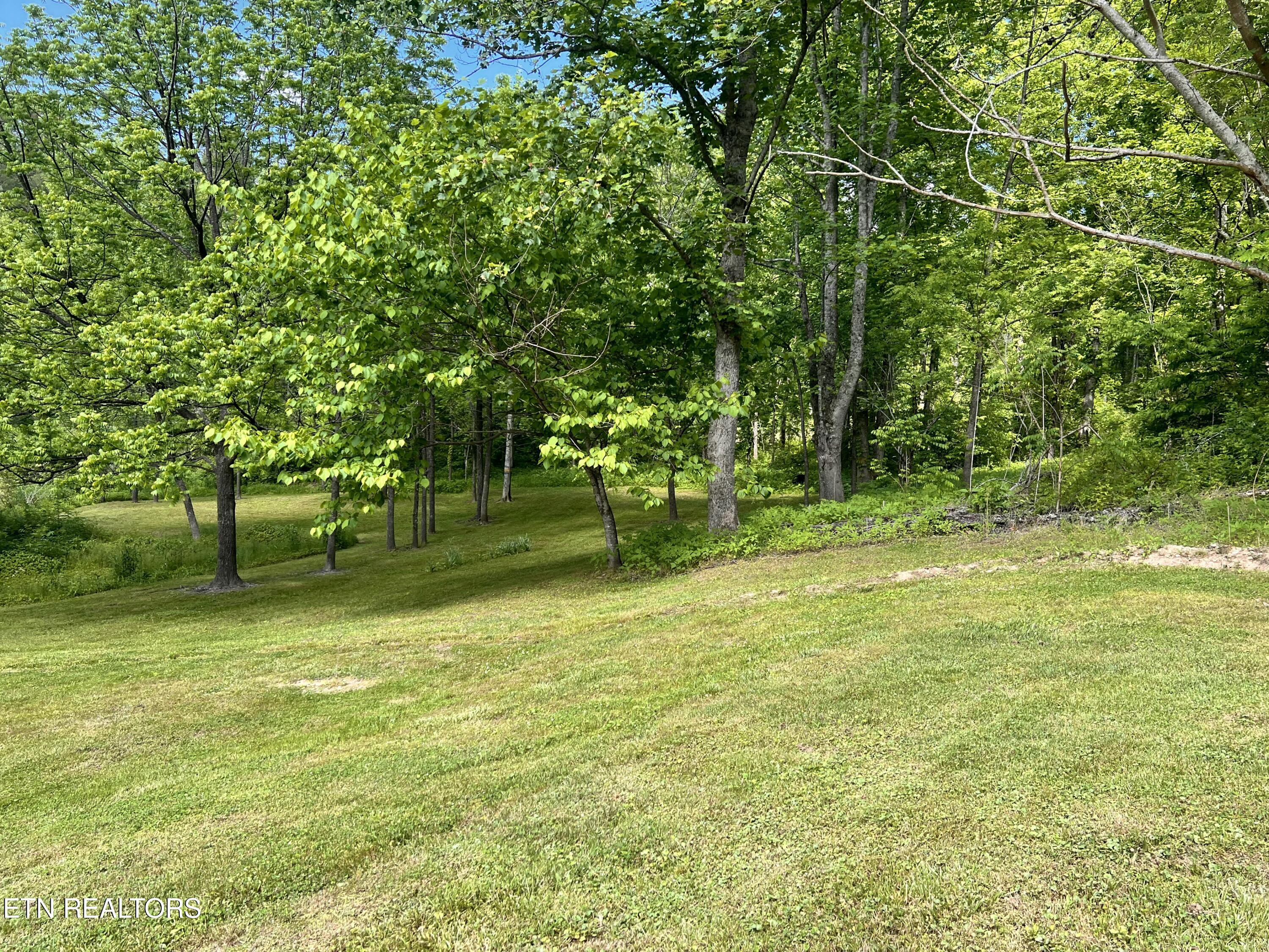 4040 Trail Hollow Road Cosby TN 37722