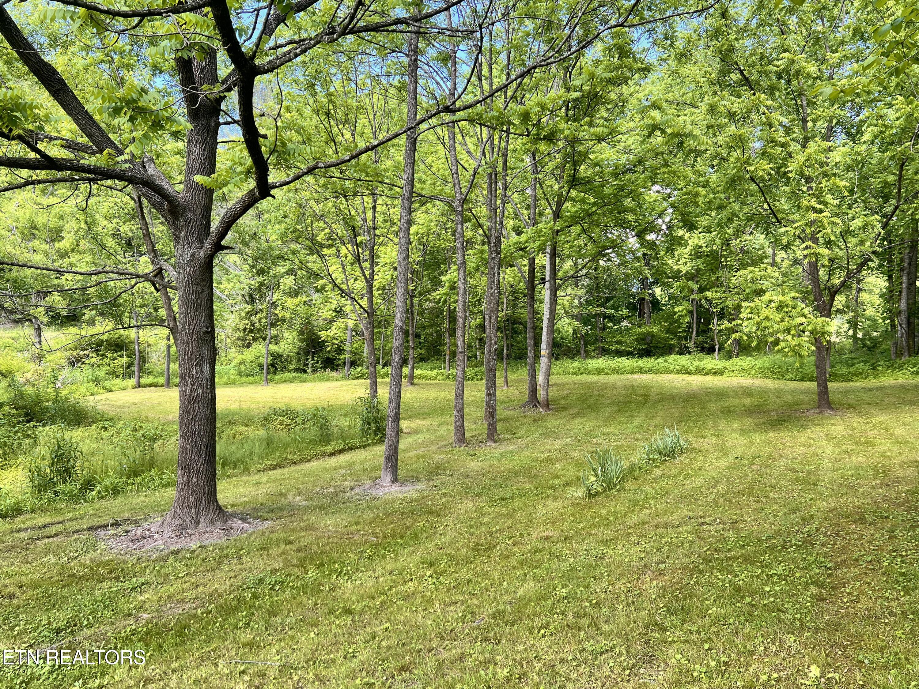 4040 Trail Hollow Road Cosby TN 37722