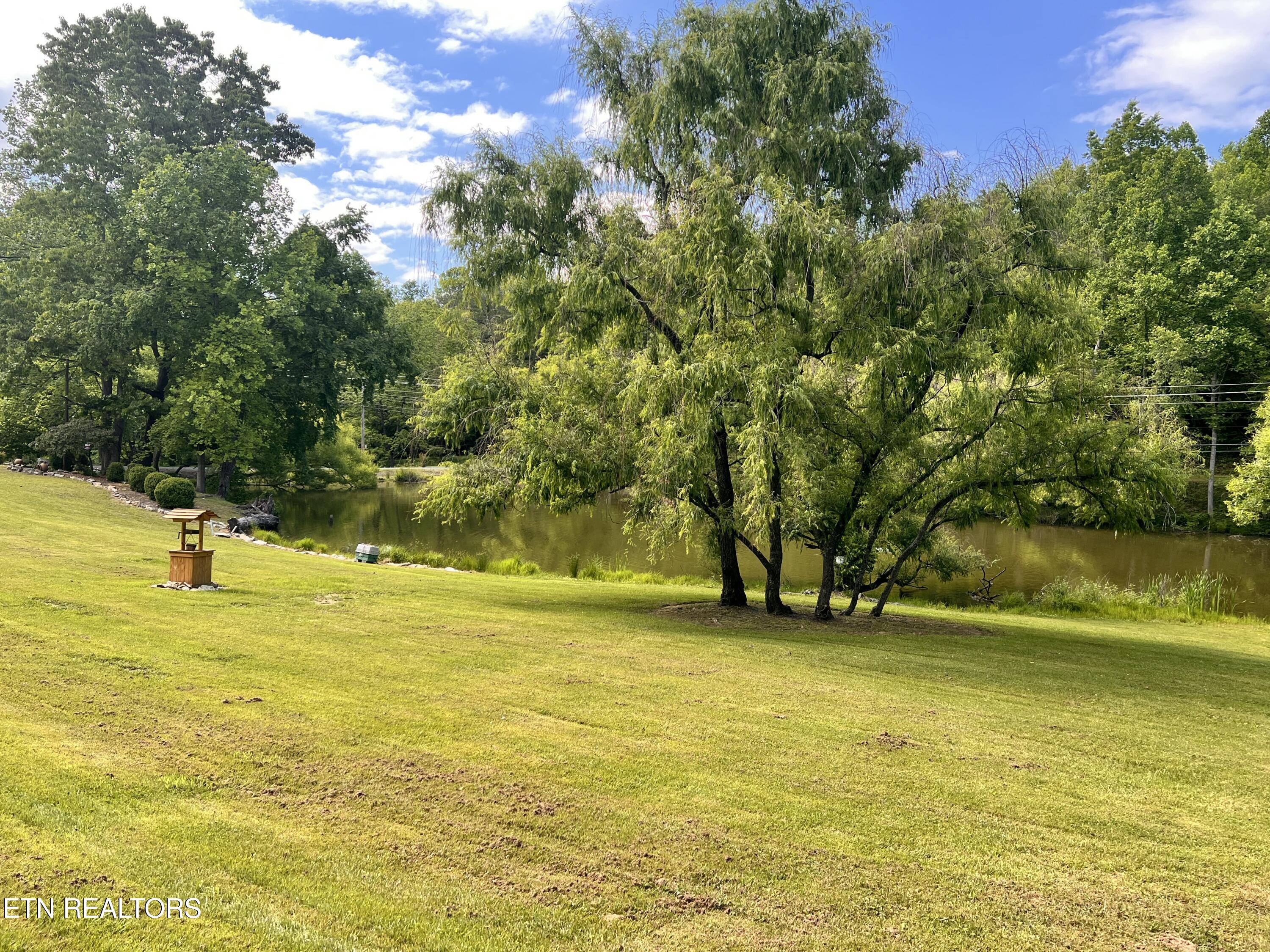 4040 Trail Hollow Road Cosby TN 37722