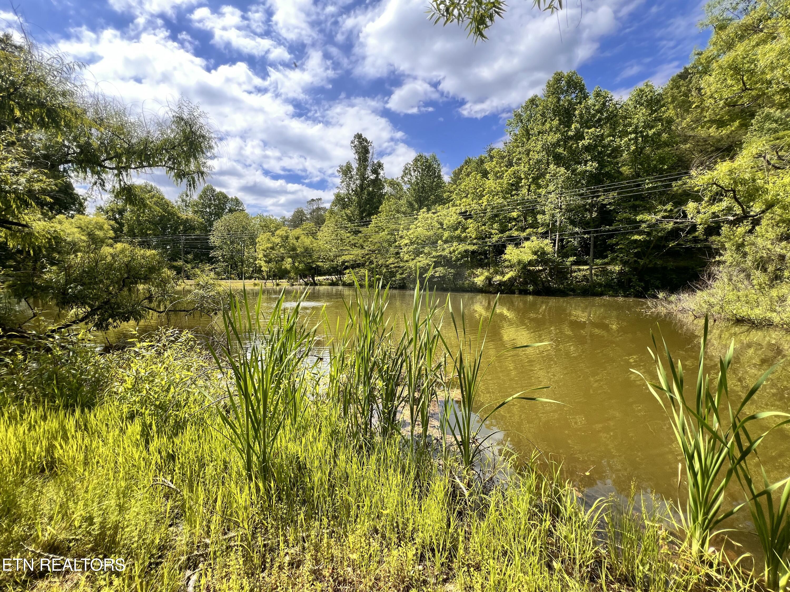 4040 Trail Hollow Road Cosby TN 37722