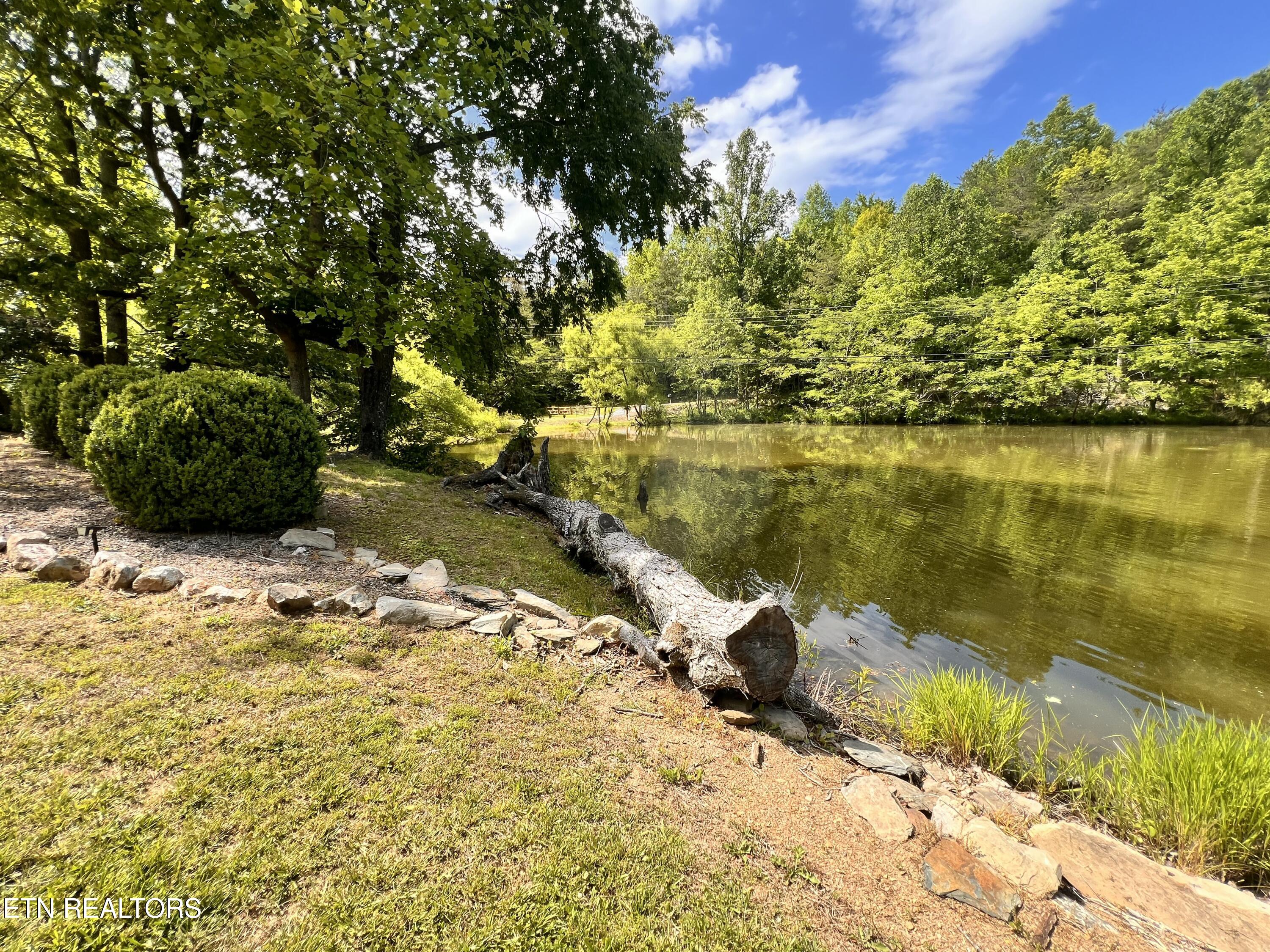 4040 Trail Hollow Road Cosby TN 37722