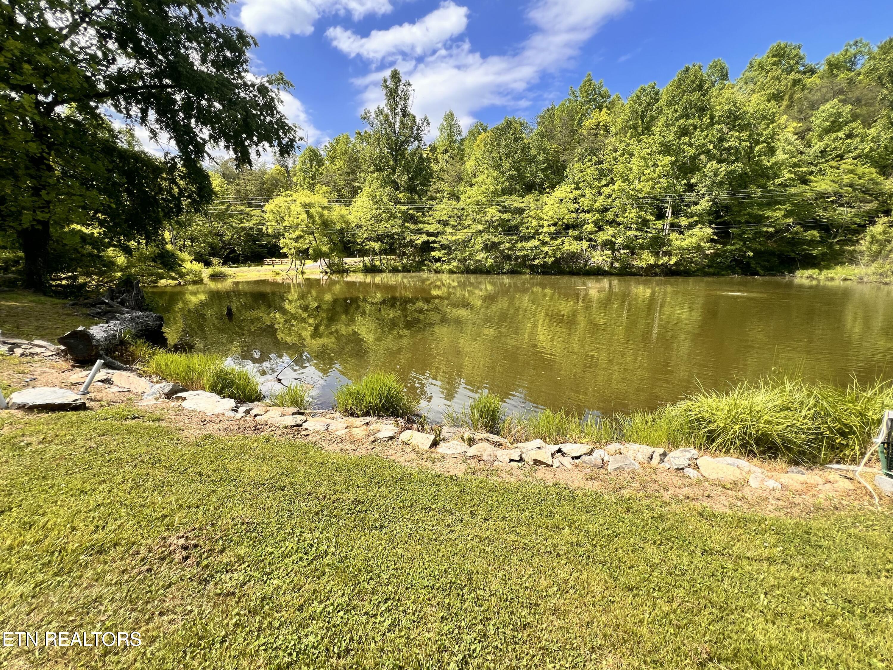 4040 Trail Hollow Road Cosby TN 37722