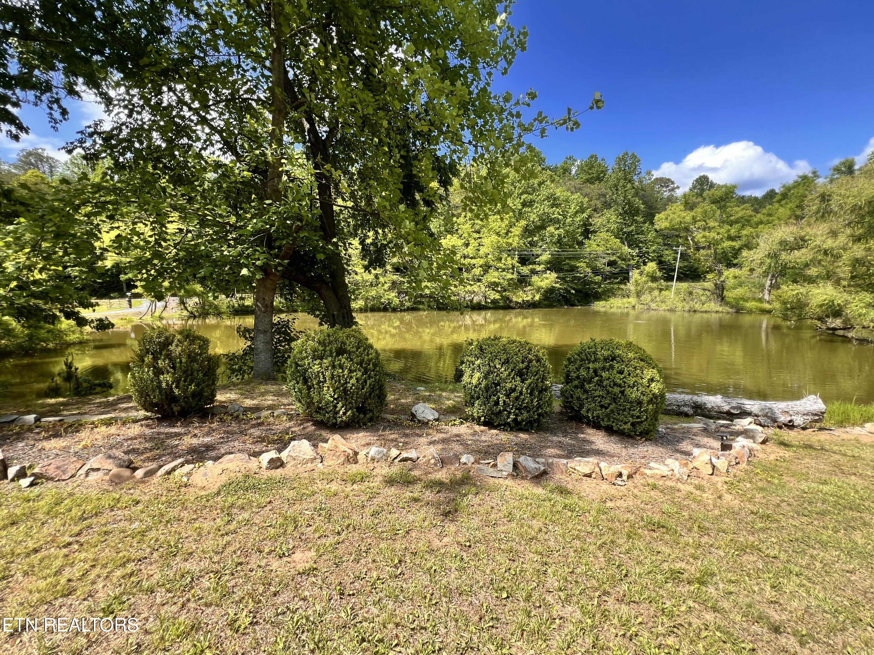 4040 Trail Hollow Road Cosby TN 37722