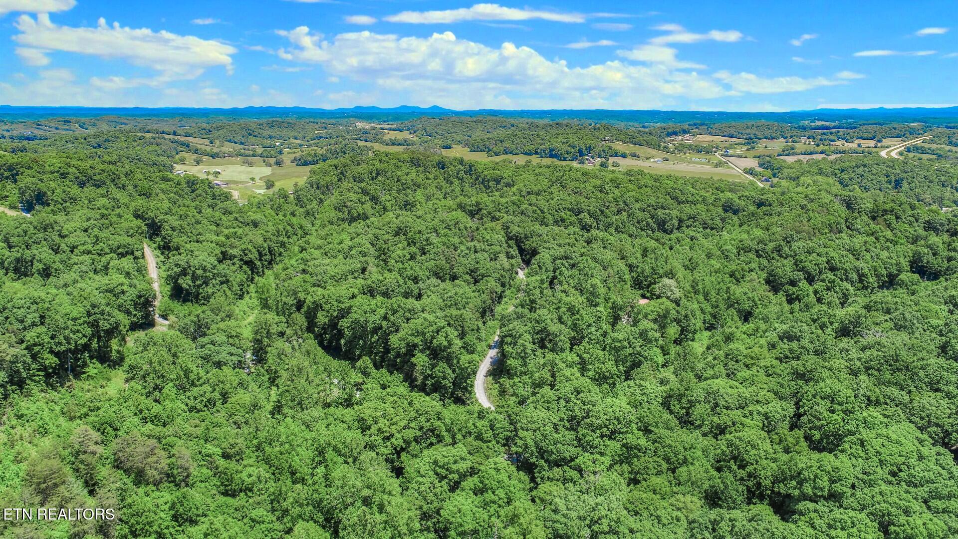 180 Shiloh Road Parrottsville TN 37843