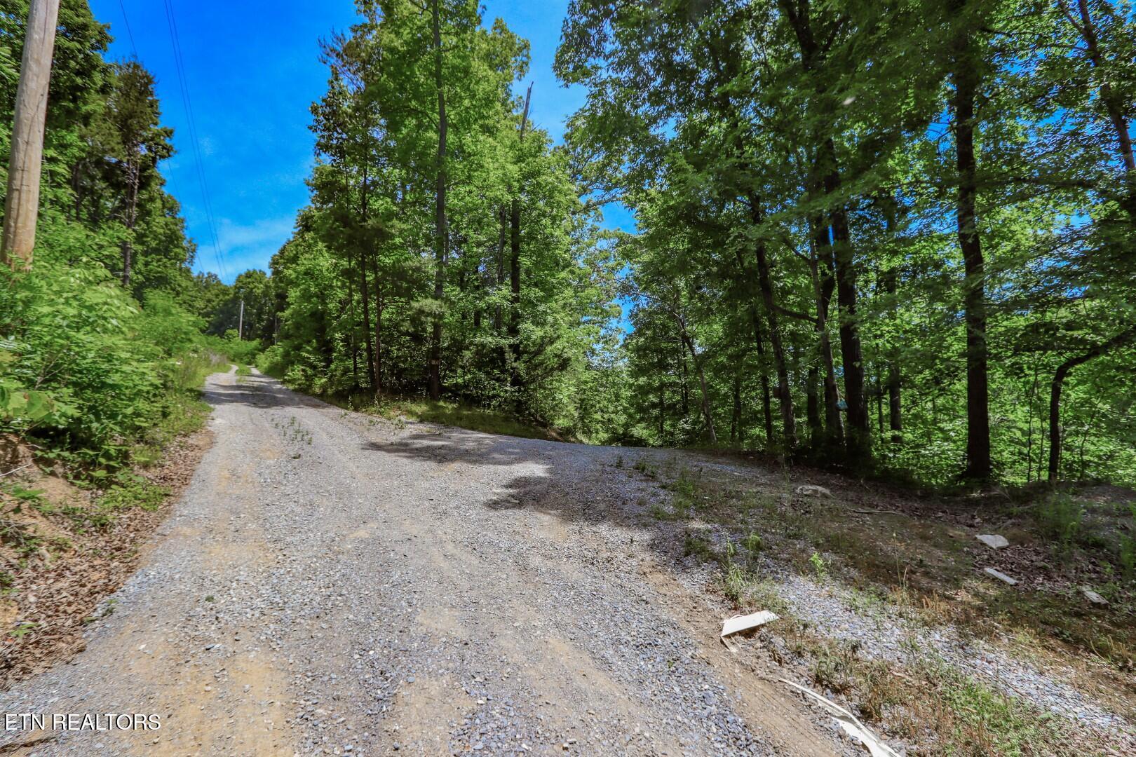 180 Shiloh Road Parrottsville TN 37843