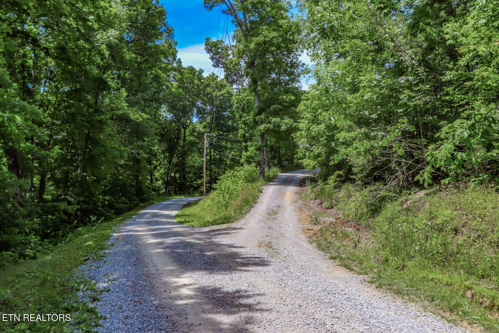 180 Shiloh Road Parrottsville TN 37843