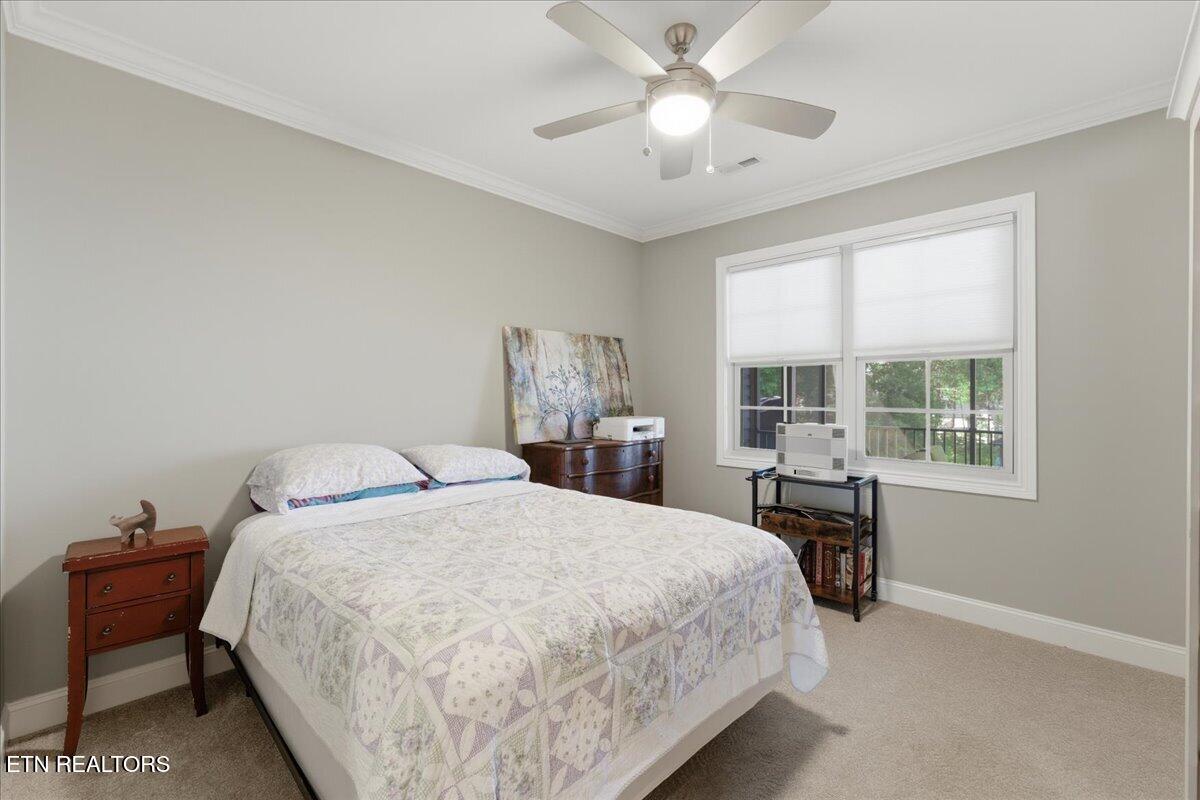 300 Gado Trace Loudon TN 37774